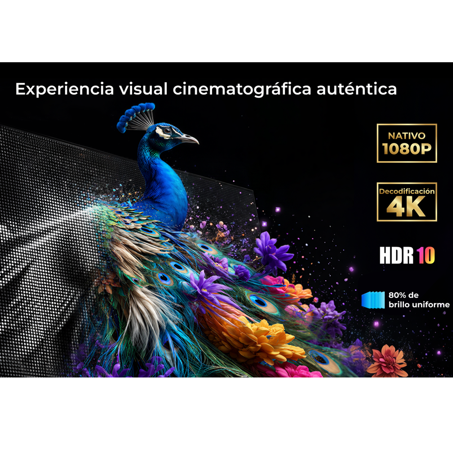 Un pavo real con plumas vibrantes sobre un fondo oscuro con texto.