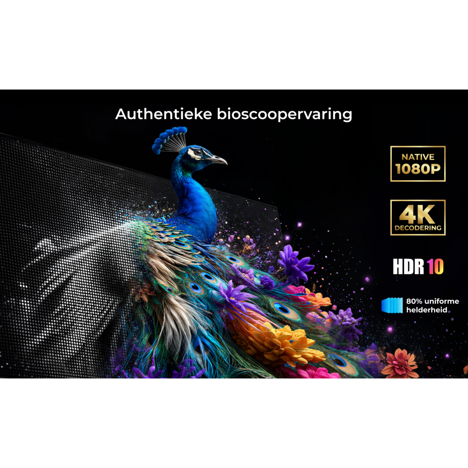 Un paon aux plumes colorées sur fond sombre avec spécifications techniques.
