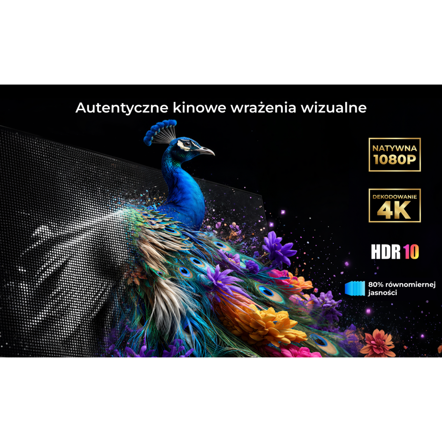Paw z barwnym upierzeniem wyłania się z ciemnego ekranu.