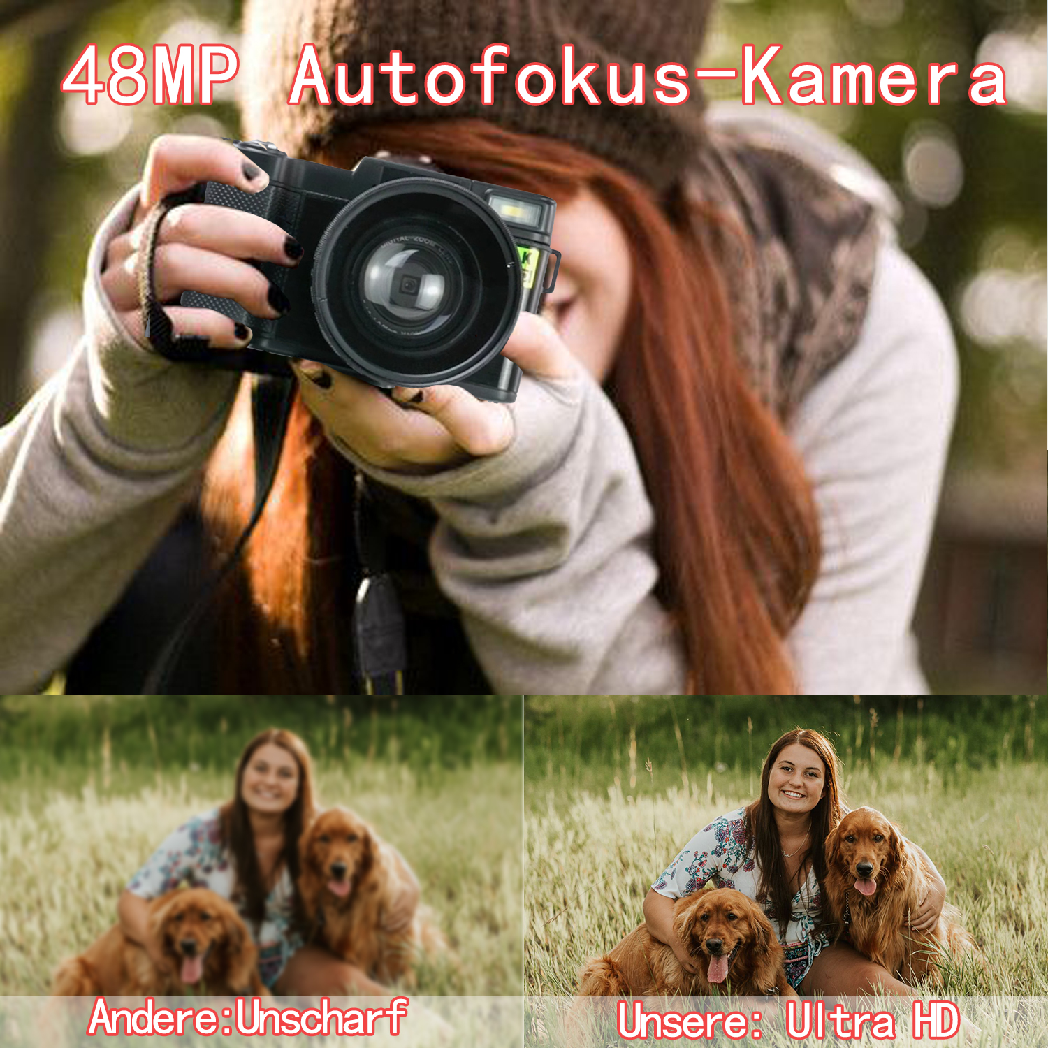 Eine Frau hält eine Kamera. Unten sind zwei Bilder einer Frau mit Hunden.