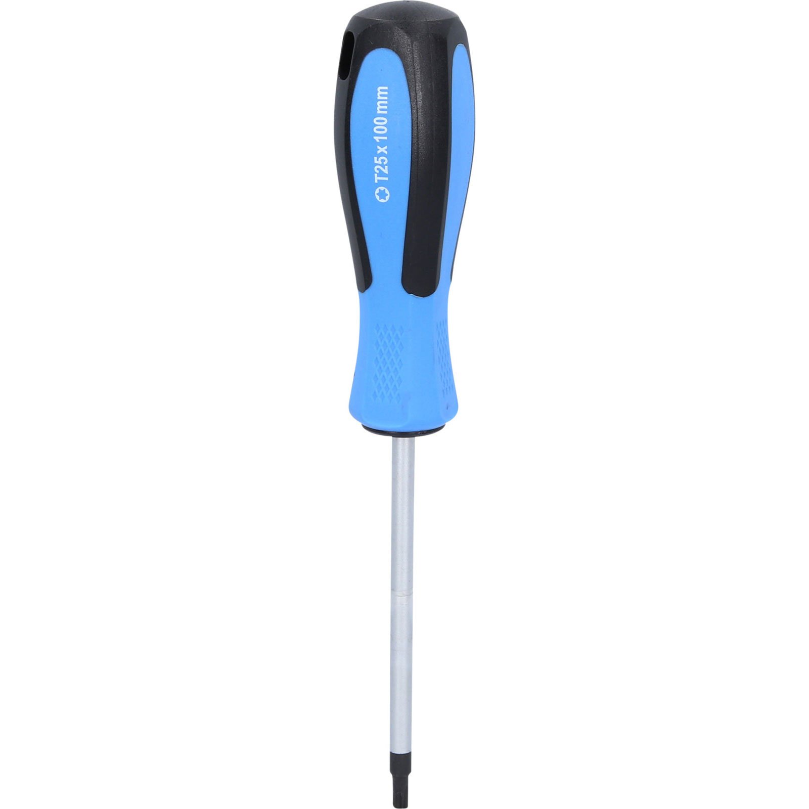 Ein Torx-Schraubendreher mit blauem Griff, T25x100mm.