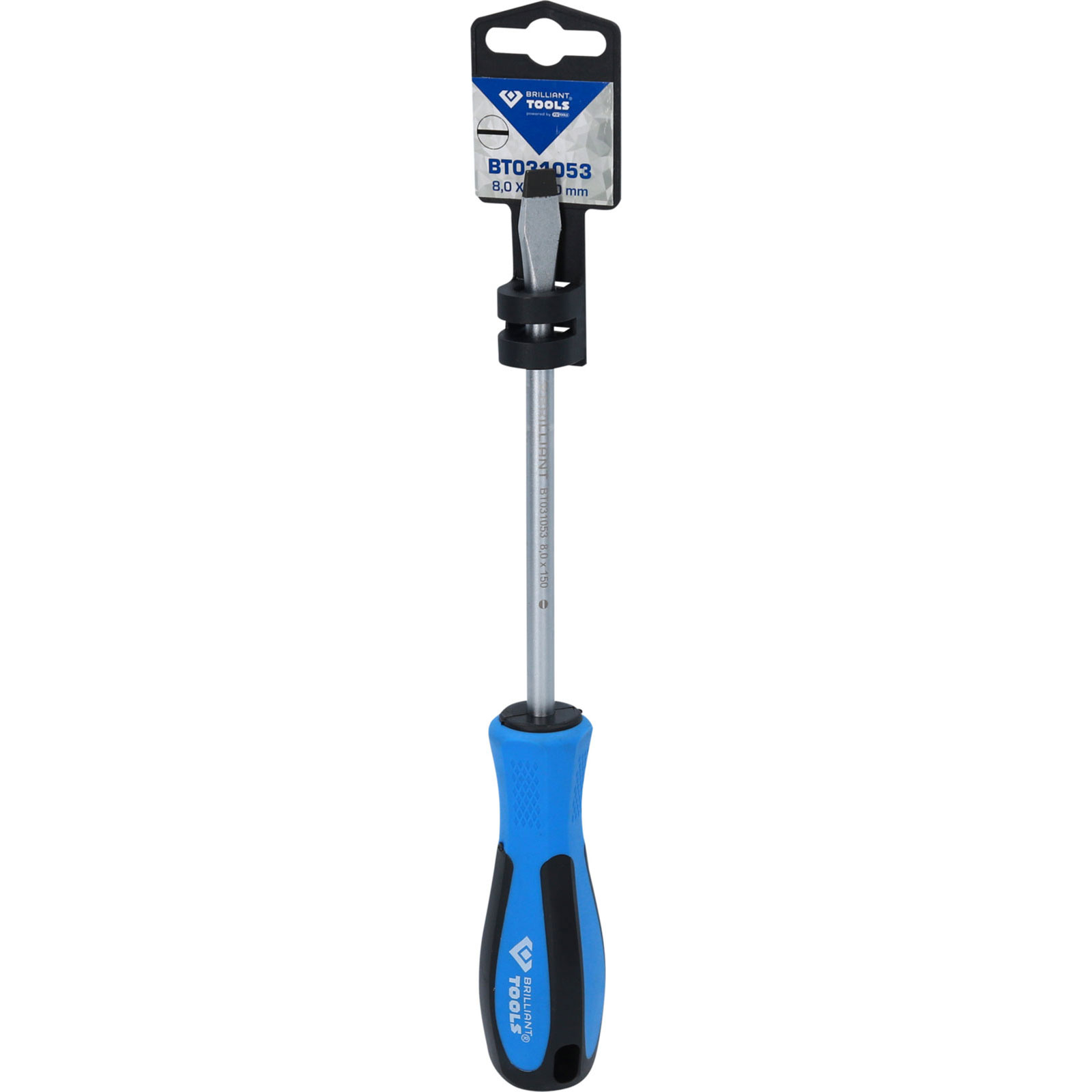 Ein Schlitzschraubendreher mit blau-schwarzem Griff und Metallspitze.