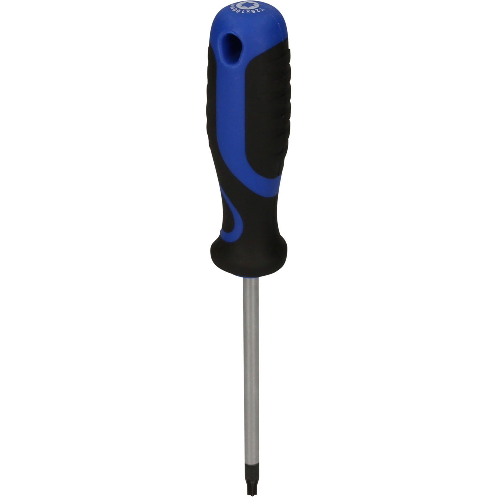 Schraubendreher mit blau-schwarzem Griff und Torx-Spitze.