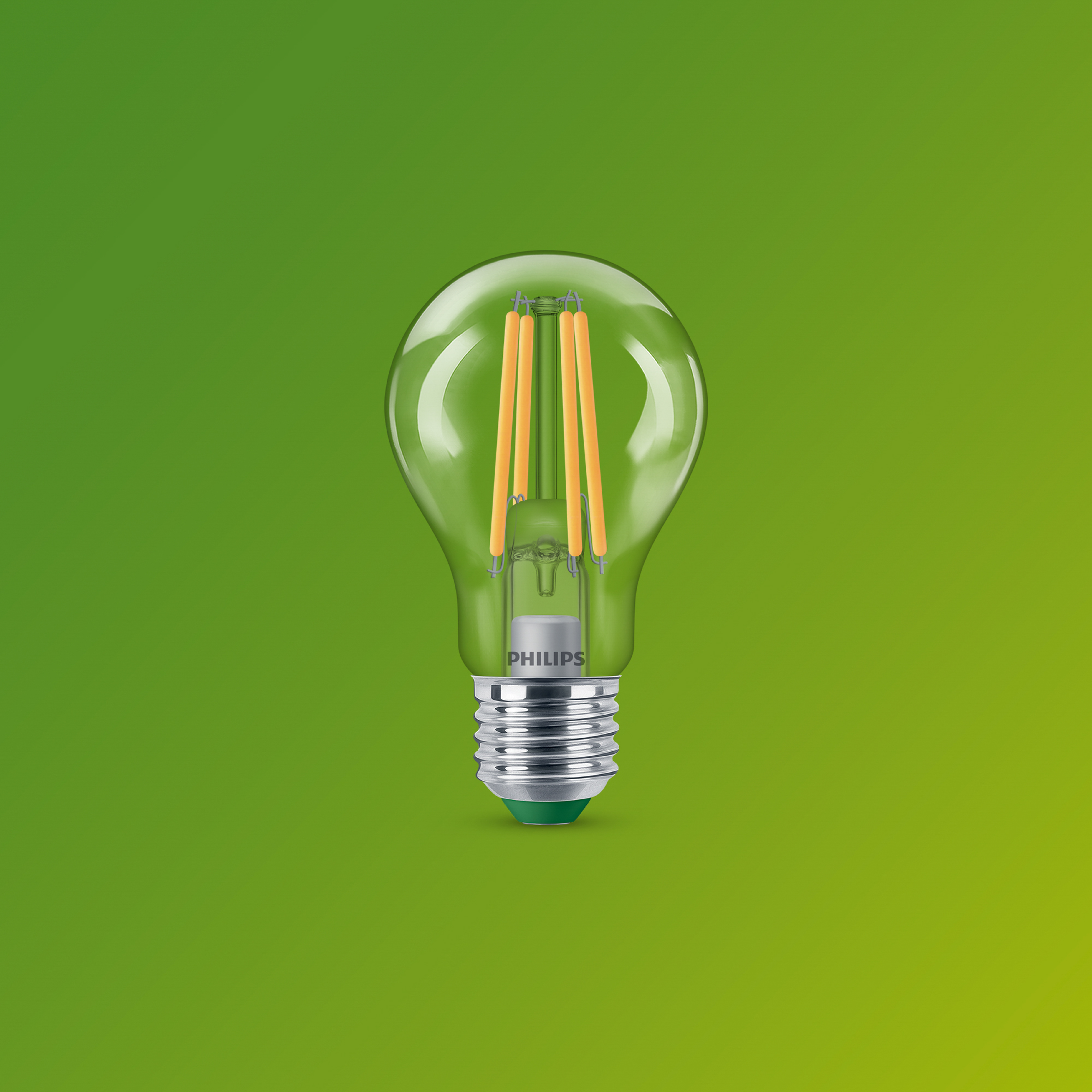 Eine durchsichtige Glühbirne mit LED-Filamenten und silbernem Sockel auf grünem Hintergrund.