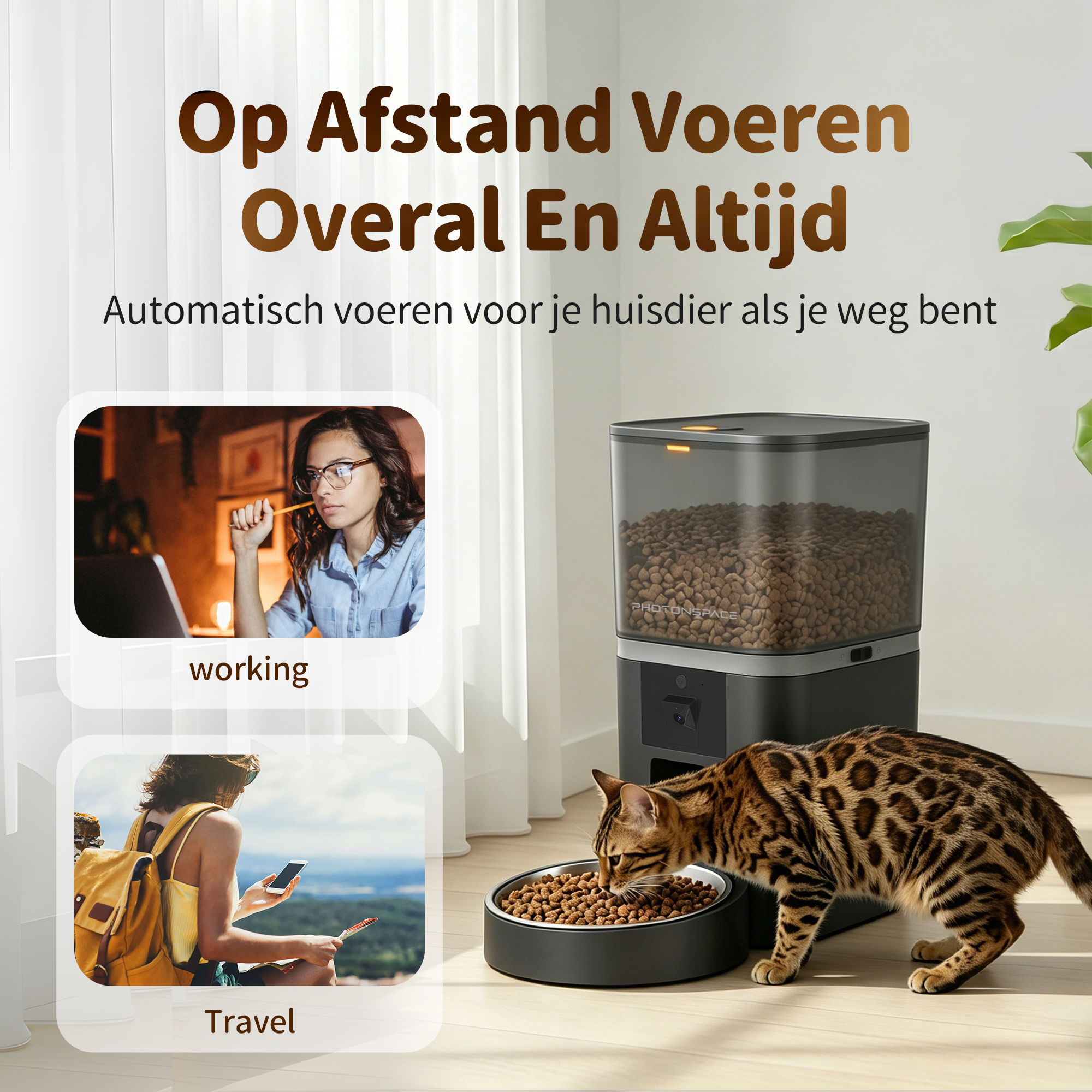 A Bengal cat eats from an automatic feeder. Beside it, a woman works and a traveler.