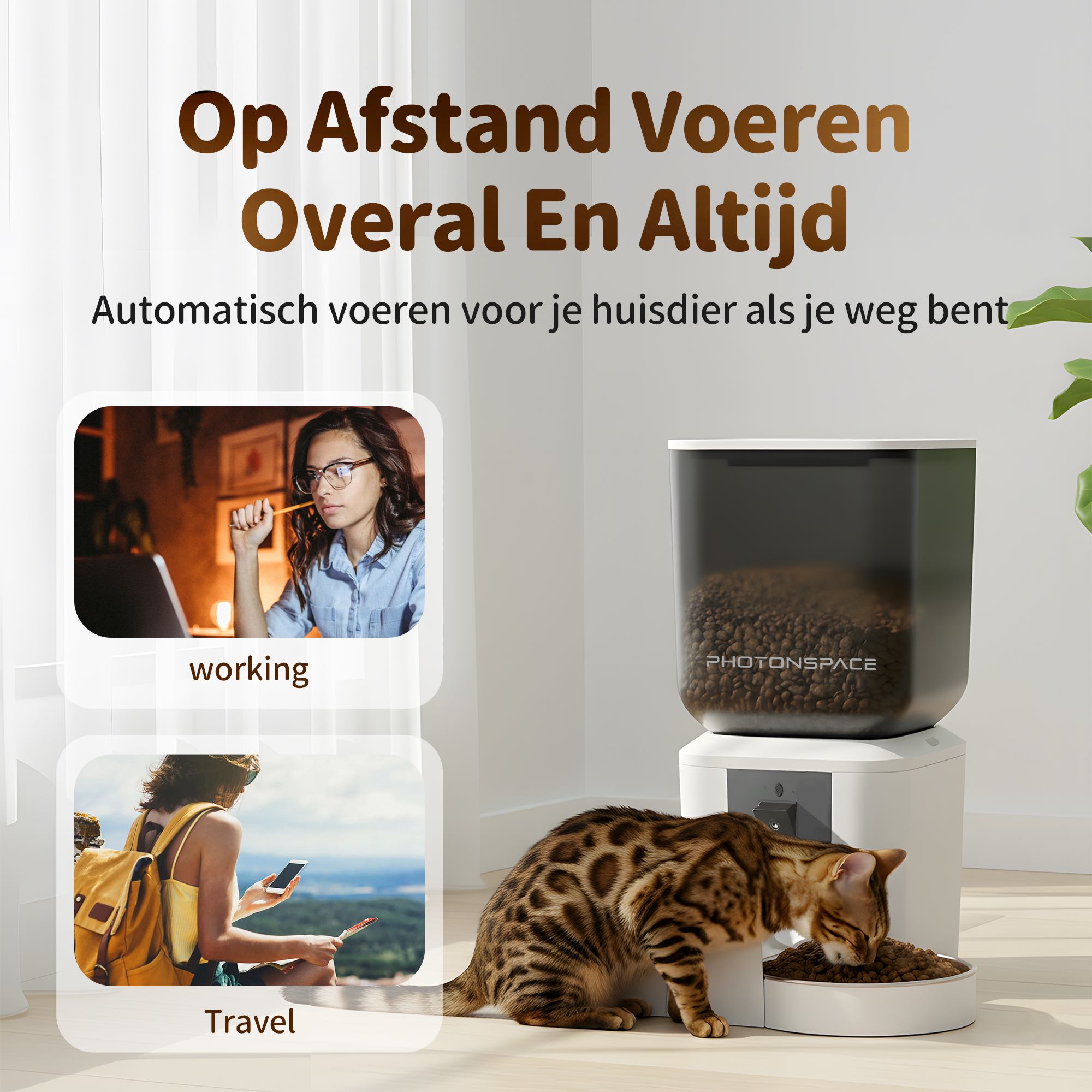 A Bengal cat eats from an automatic feeder. Beside it, a woman works and a traveler.