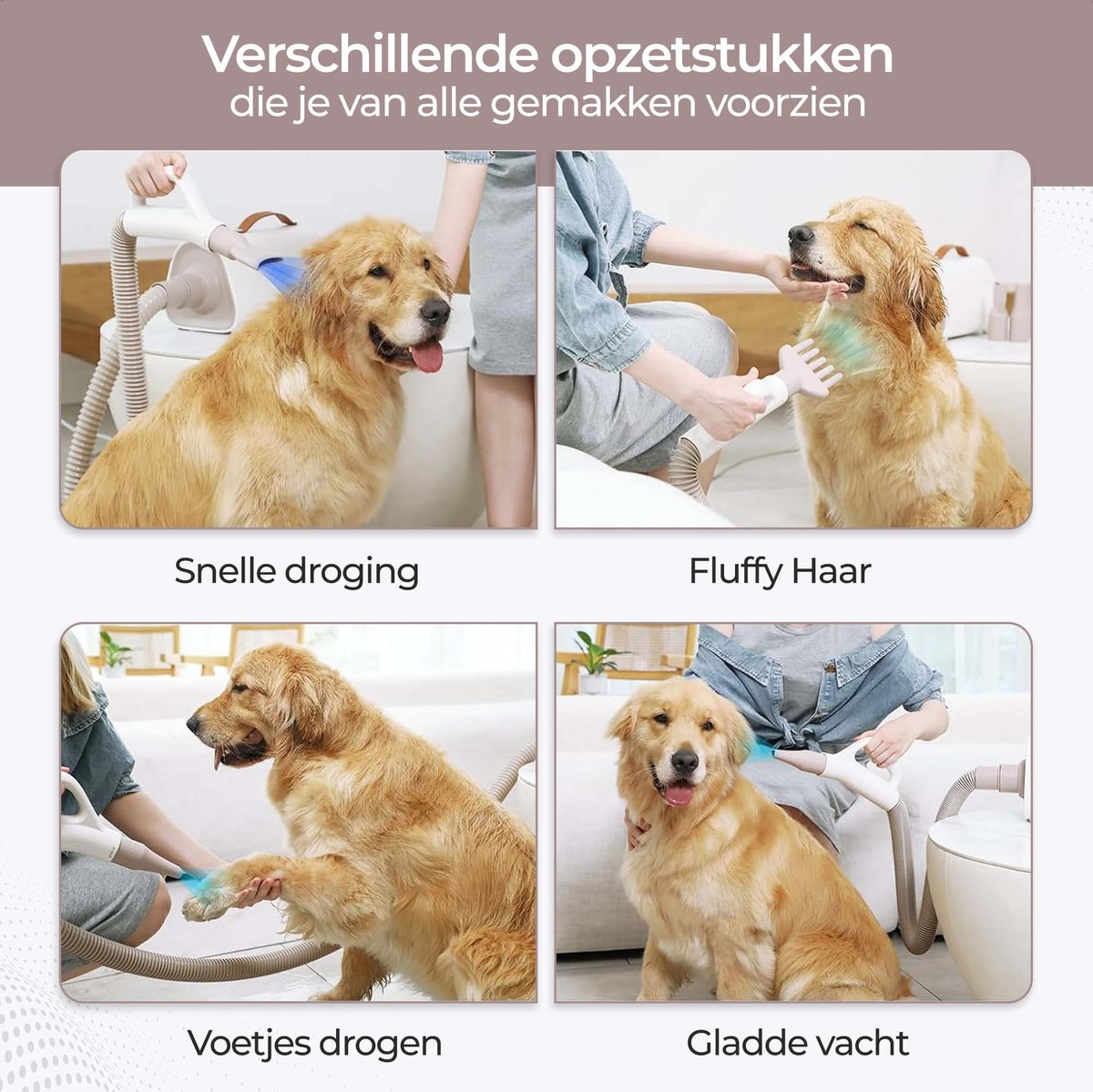 Four scenes show a golden retriever being dried and brushed with different attachments.