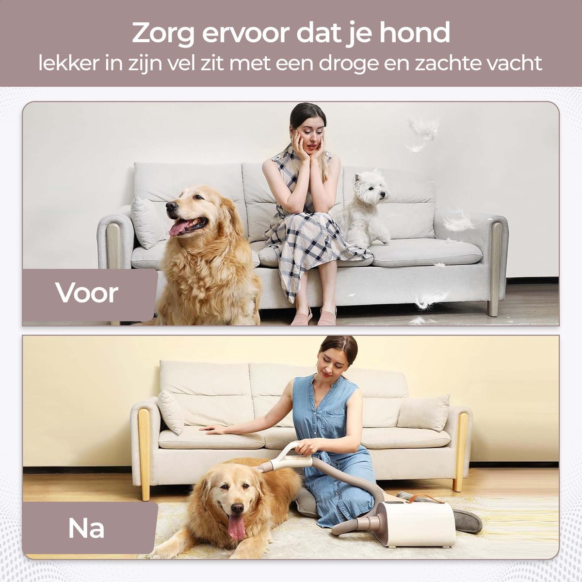 Top: Woman with two dogs on sofa. Bottom: Woman vacuuming dog on rug.