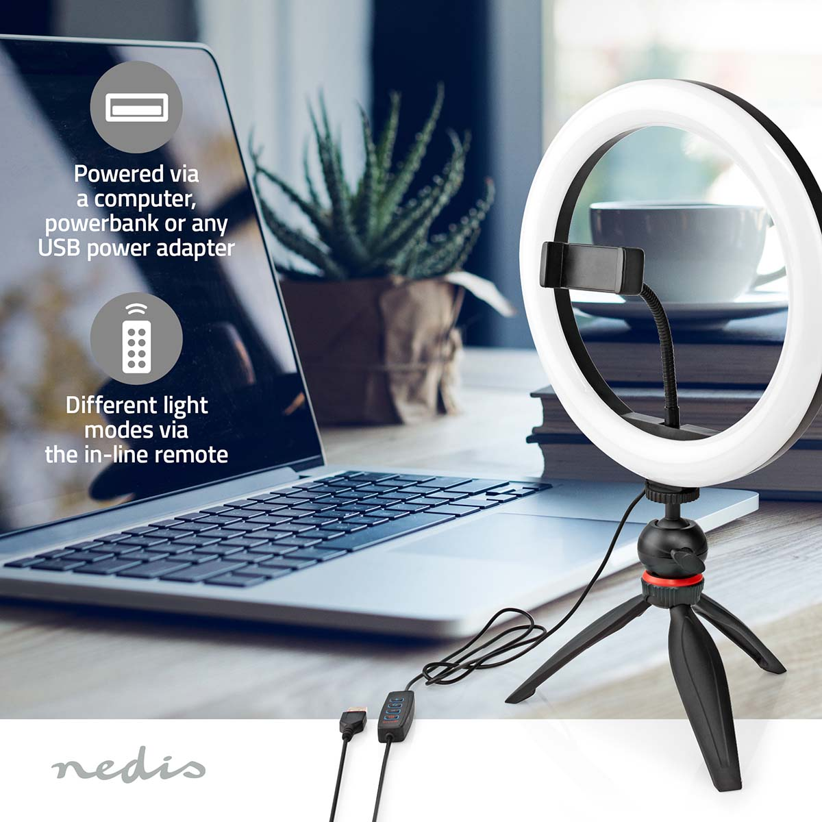 Ein Ringlicht, Laptop und Pflanze auf einem Schreibtisch. USB-betrieben.