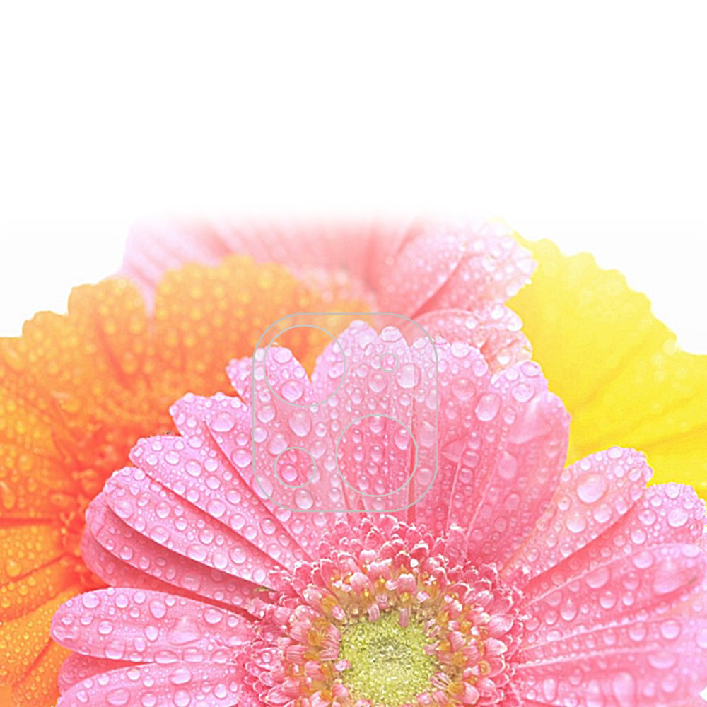 Drei Gerbera-Blüten in Rosa, Orange und Gelb mit Tautropfen.