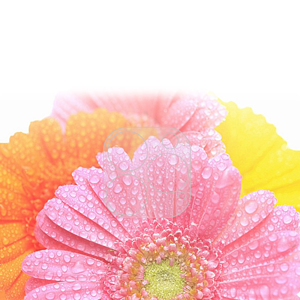 Trois pétales de marguerite gerbera avec des gouttes d'eau roses, oranges et jaunes.