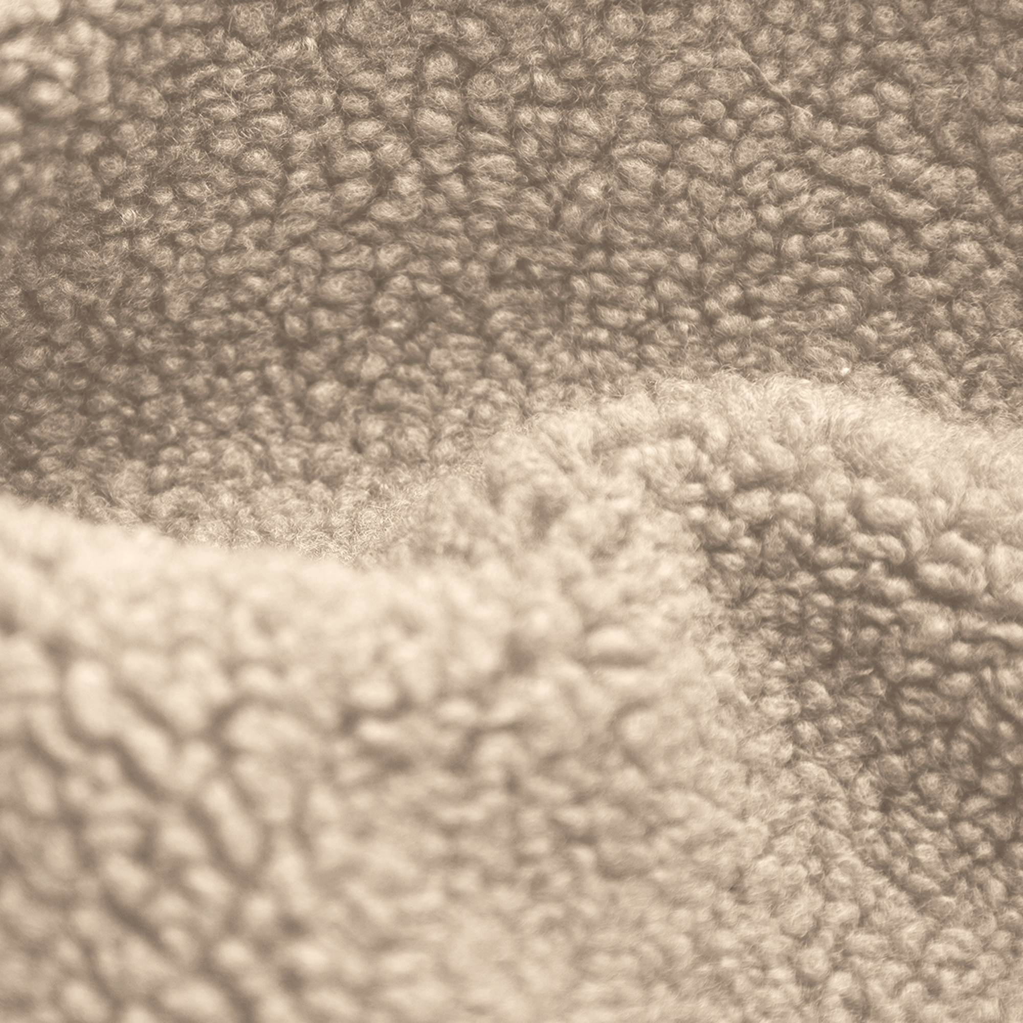 Close-up of a soft, beige teddy bear fabric texture with fluffy loops.