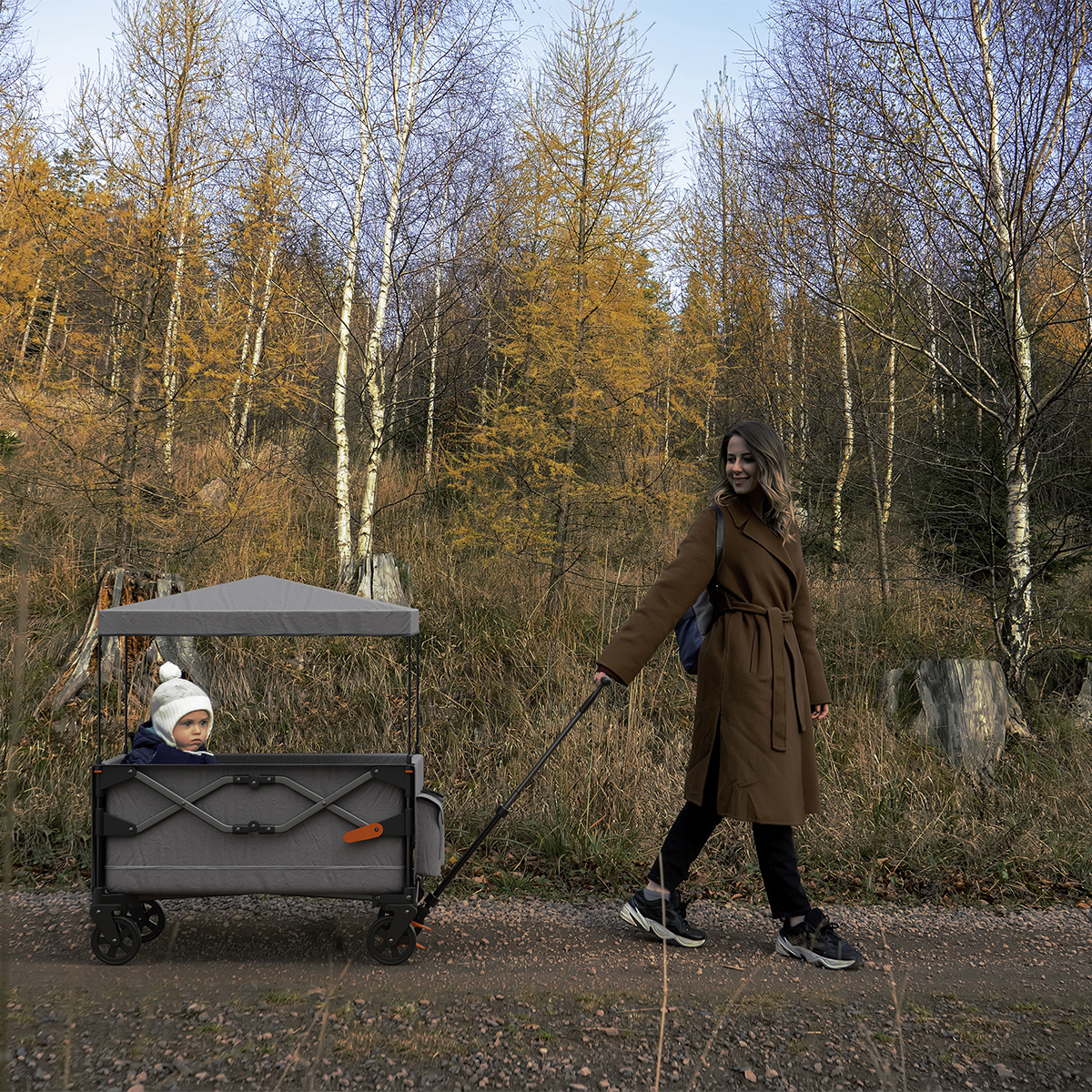 A woman pulls a wagon with a baby through an autumn forest.
