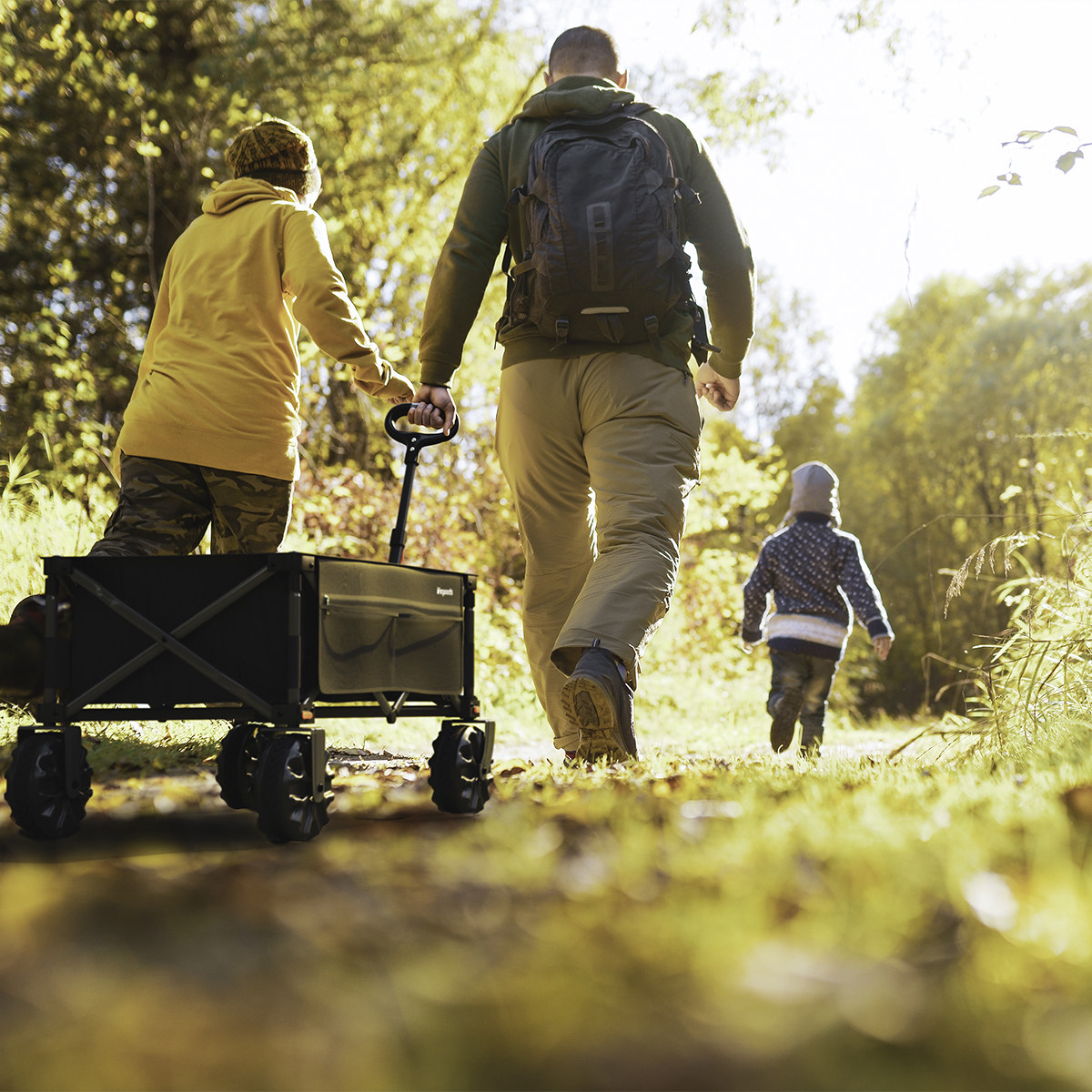 Family walks in autumn woods with a wagon.