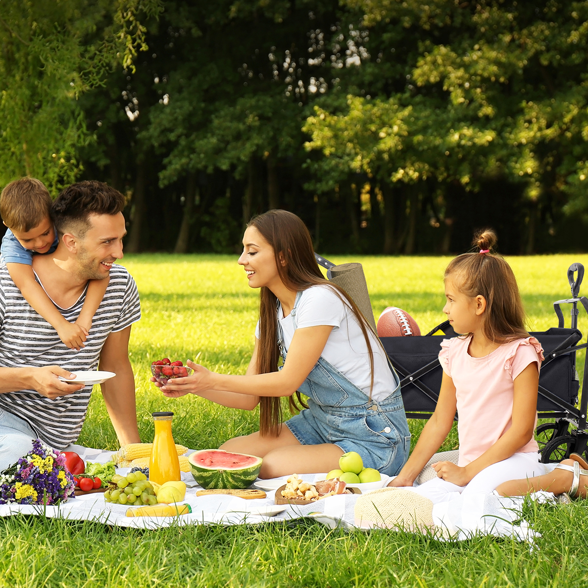 Family having a picnic in a park with food, juice, and a wagon.