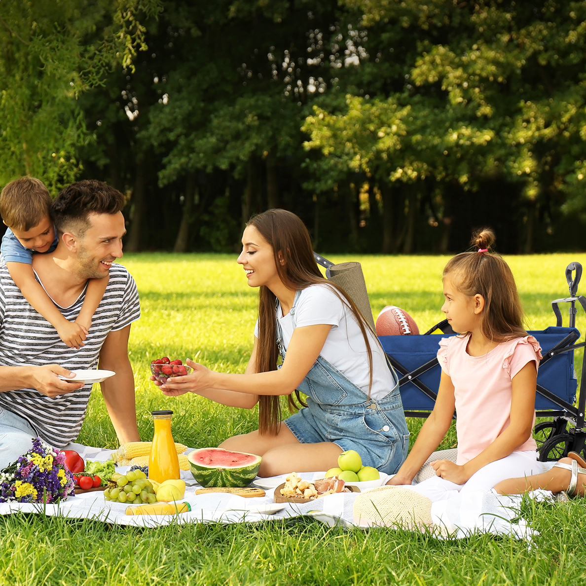 Family picnic: parents and two kids sit on a blanket with food and a wagon.