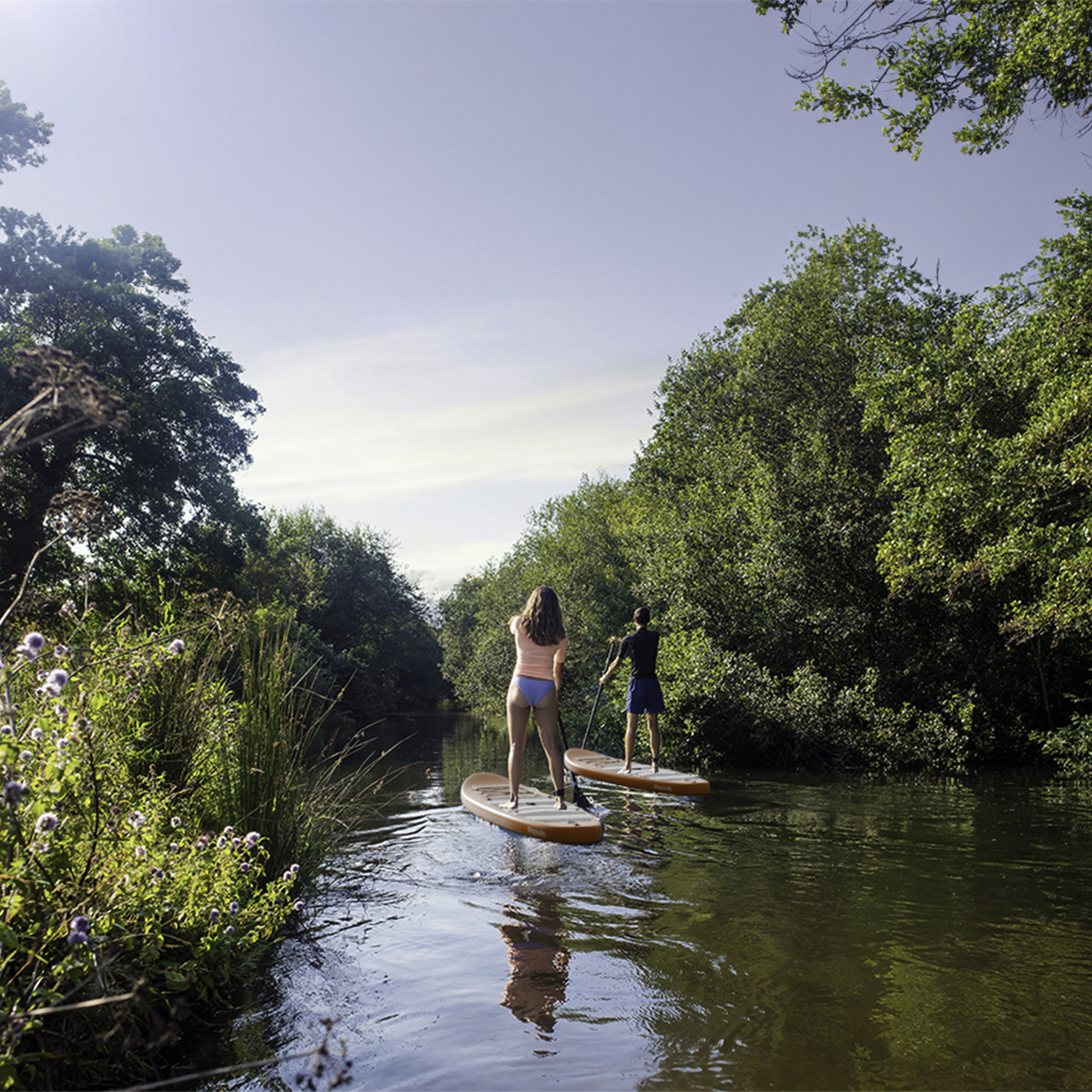 Two people paddleboard on a calm river surrounded by lush green trees.