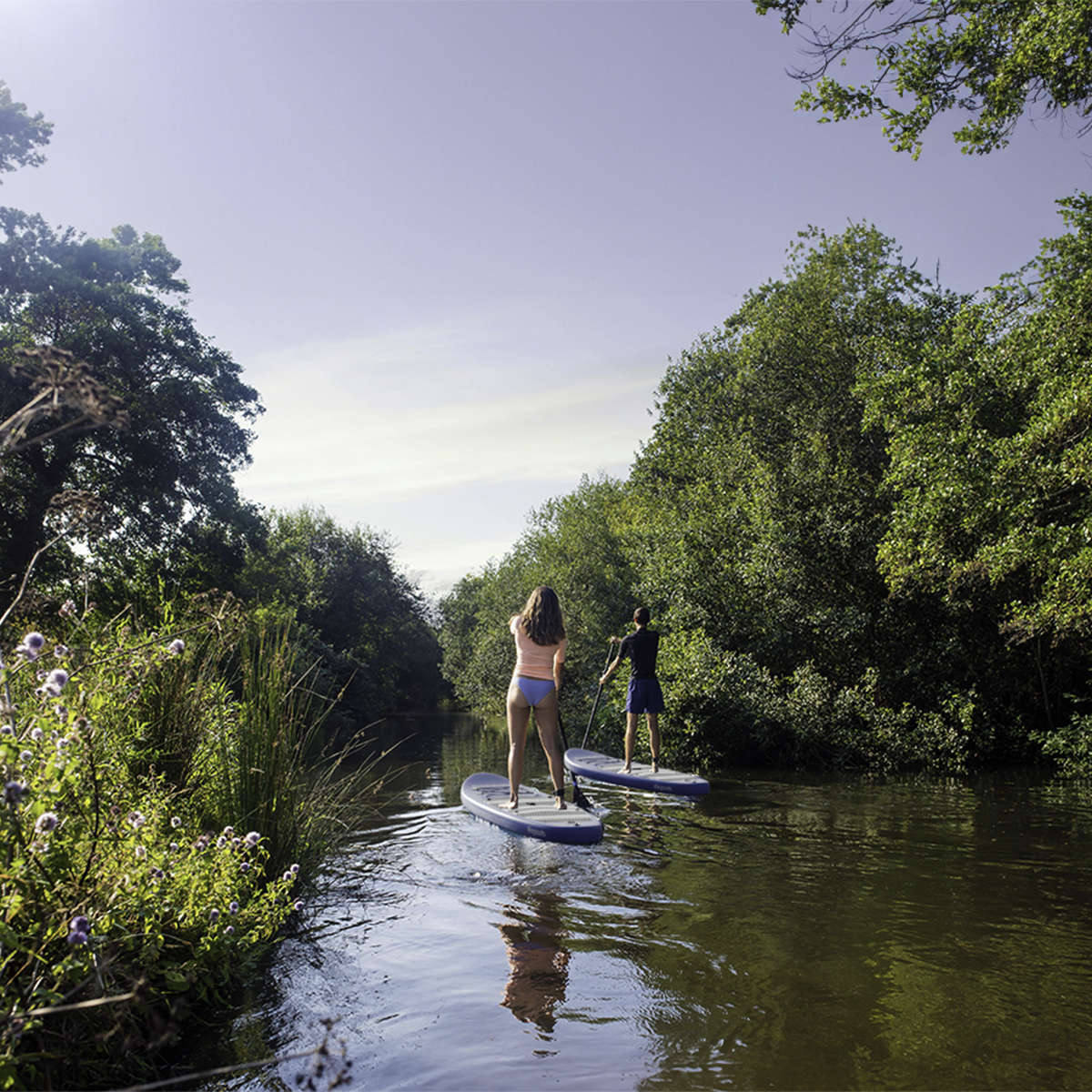 Twee mensen paddleboarden op een rivier, omgeven door groene bomen.
