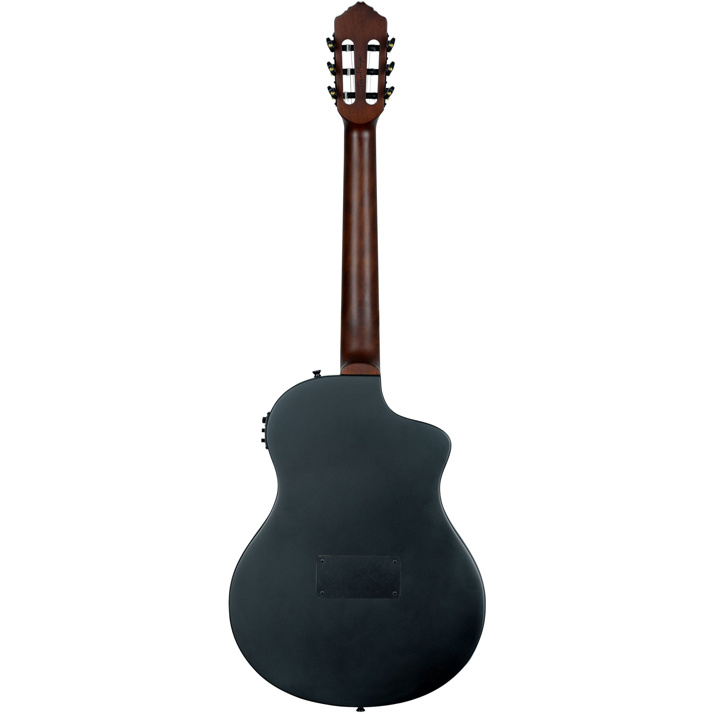 Back view of a black acoustic guitar with a dark wood neck and tuning pegs.