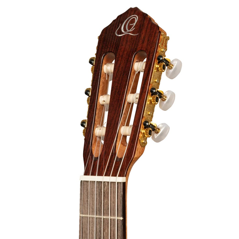 Close-up van de kop van een gitaar met zes snaren, gouden stemmechanieken en een logo.