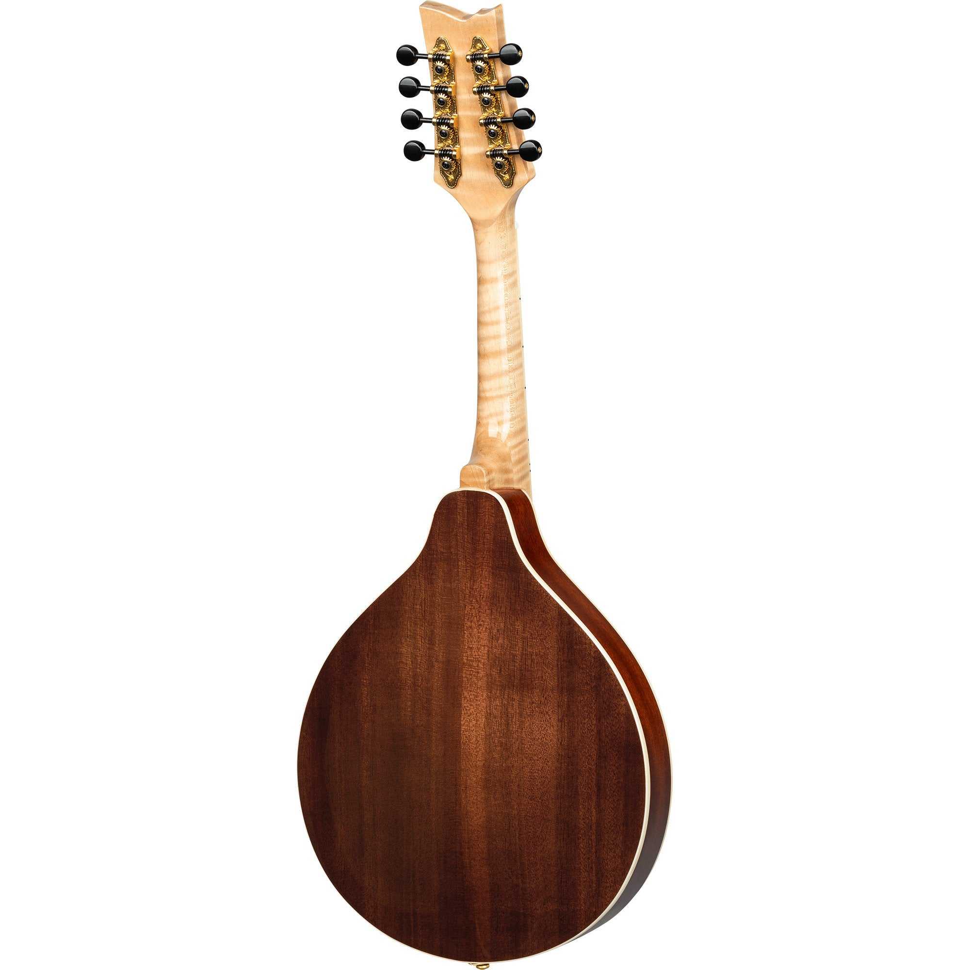 Achterkant van een mandoline met houtnerf en gouden stemmechanieken.