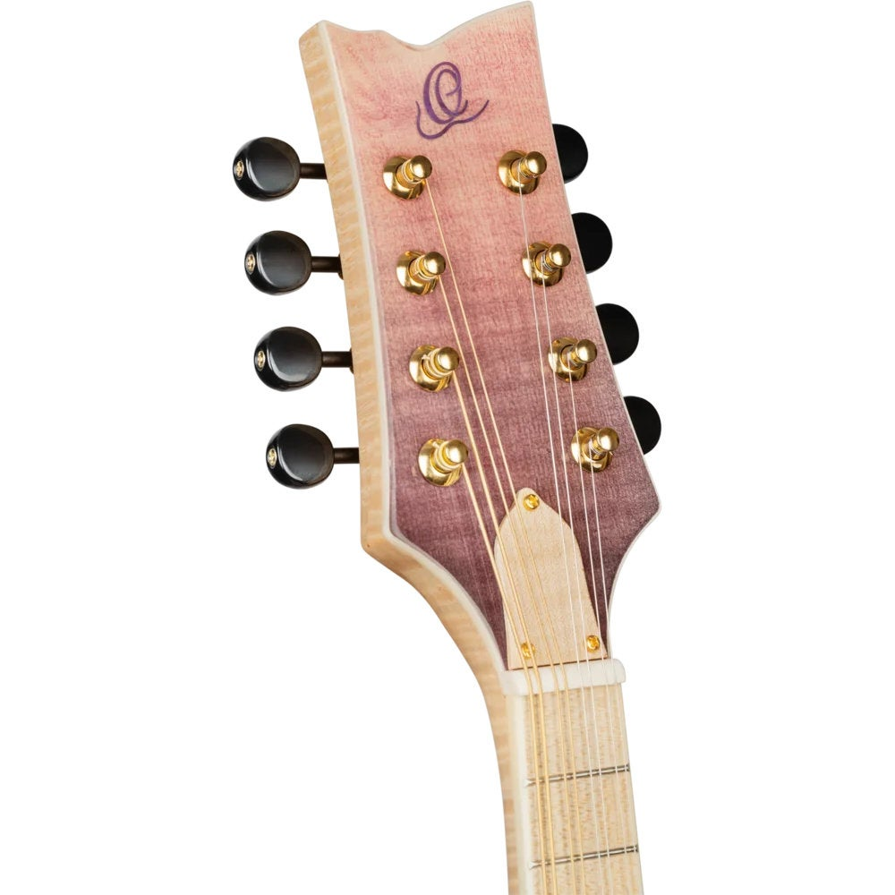 Close-up van een mandolinekop met stemknoppen en snaren op witte achtergrond.
