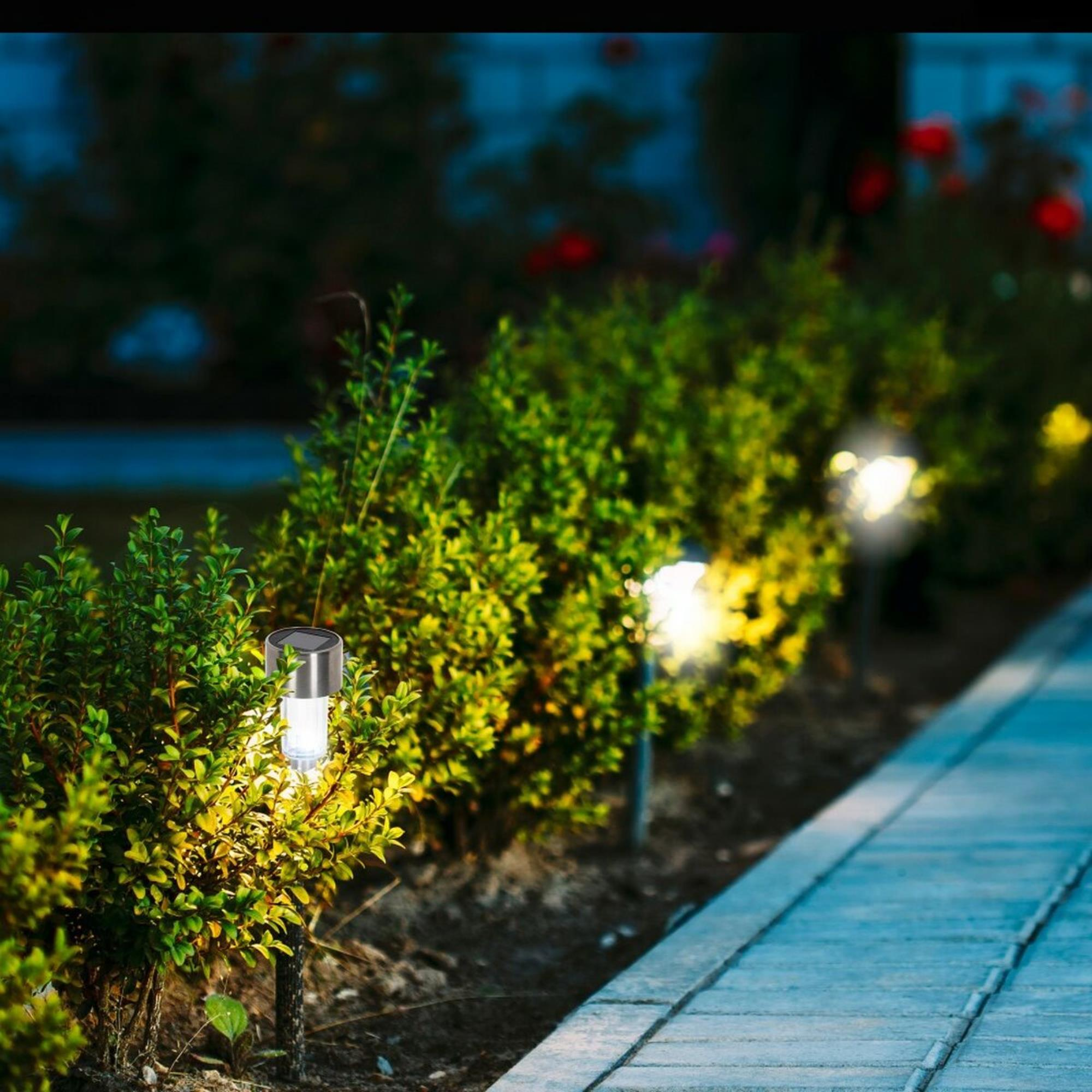 Luces solares iluminan un sendero junto a arbustos verdes en la oscuridad.
