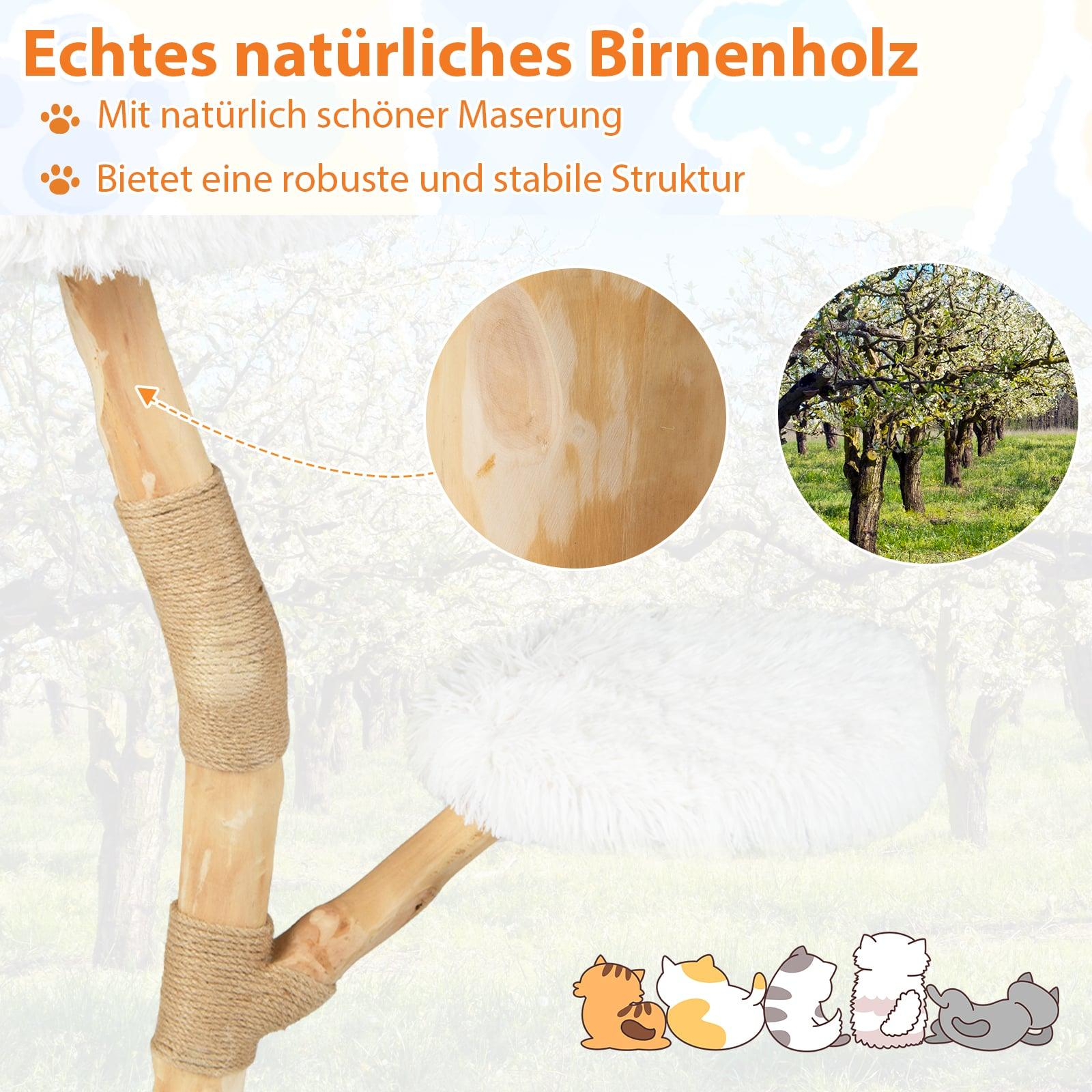 Natural birch wood cat tree with rope, white resting area, and cat illustrations.