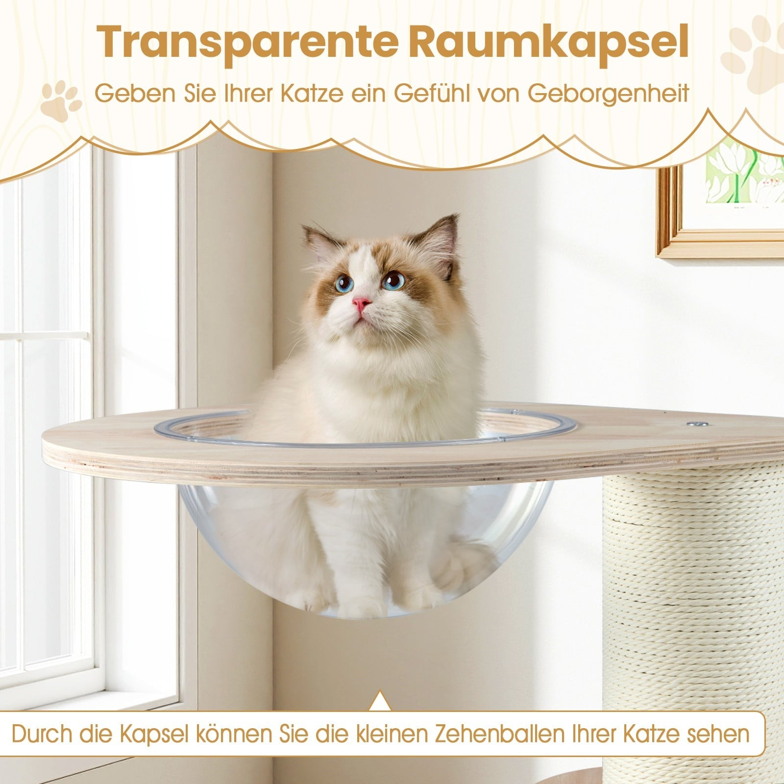 A cat sits in a transparent capsule on a cat tree.