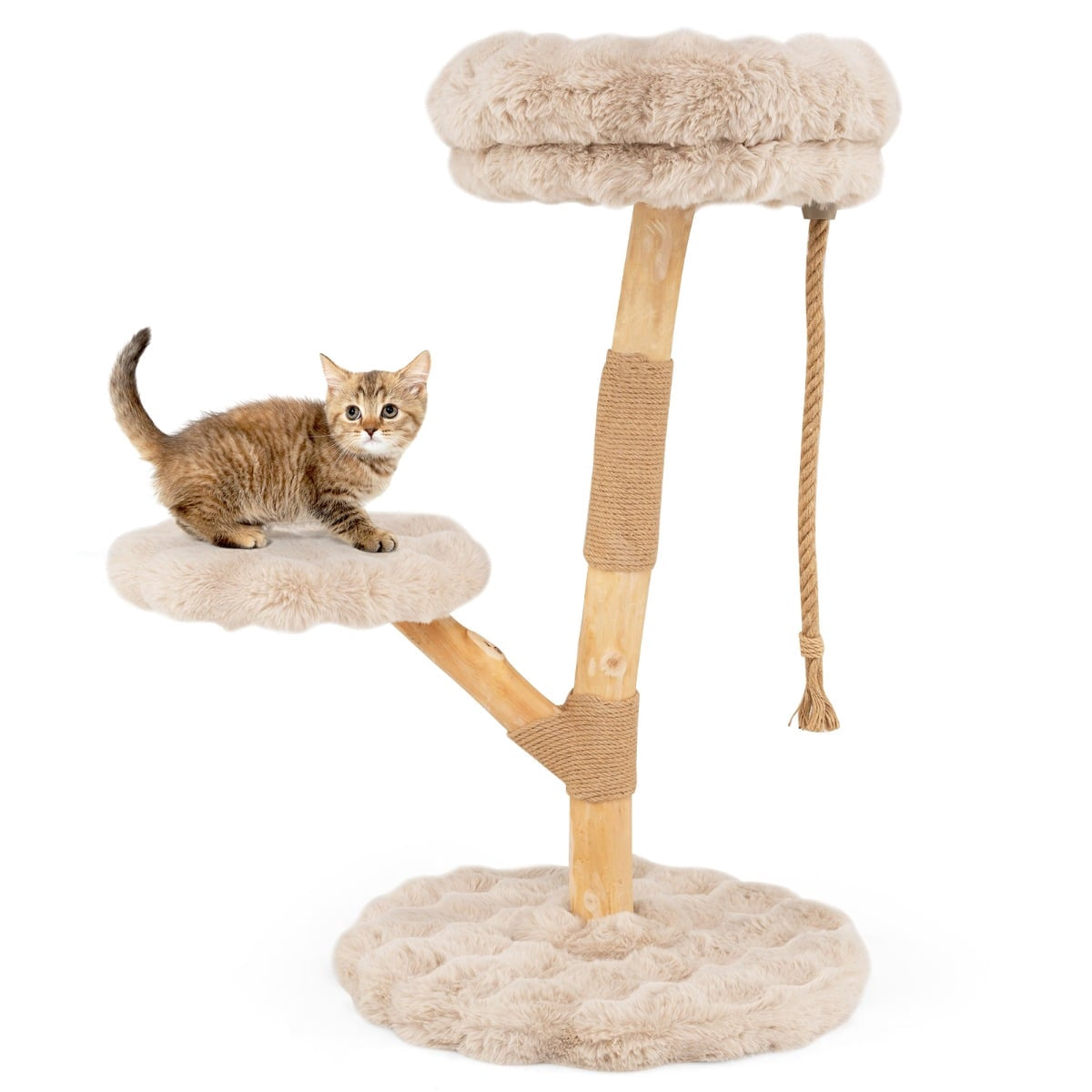Un chaton tigré assis sur un arbre à chat avec des plateformes en peluche beige et une corde.