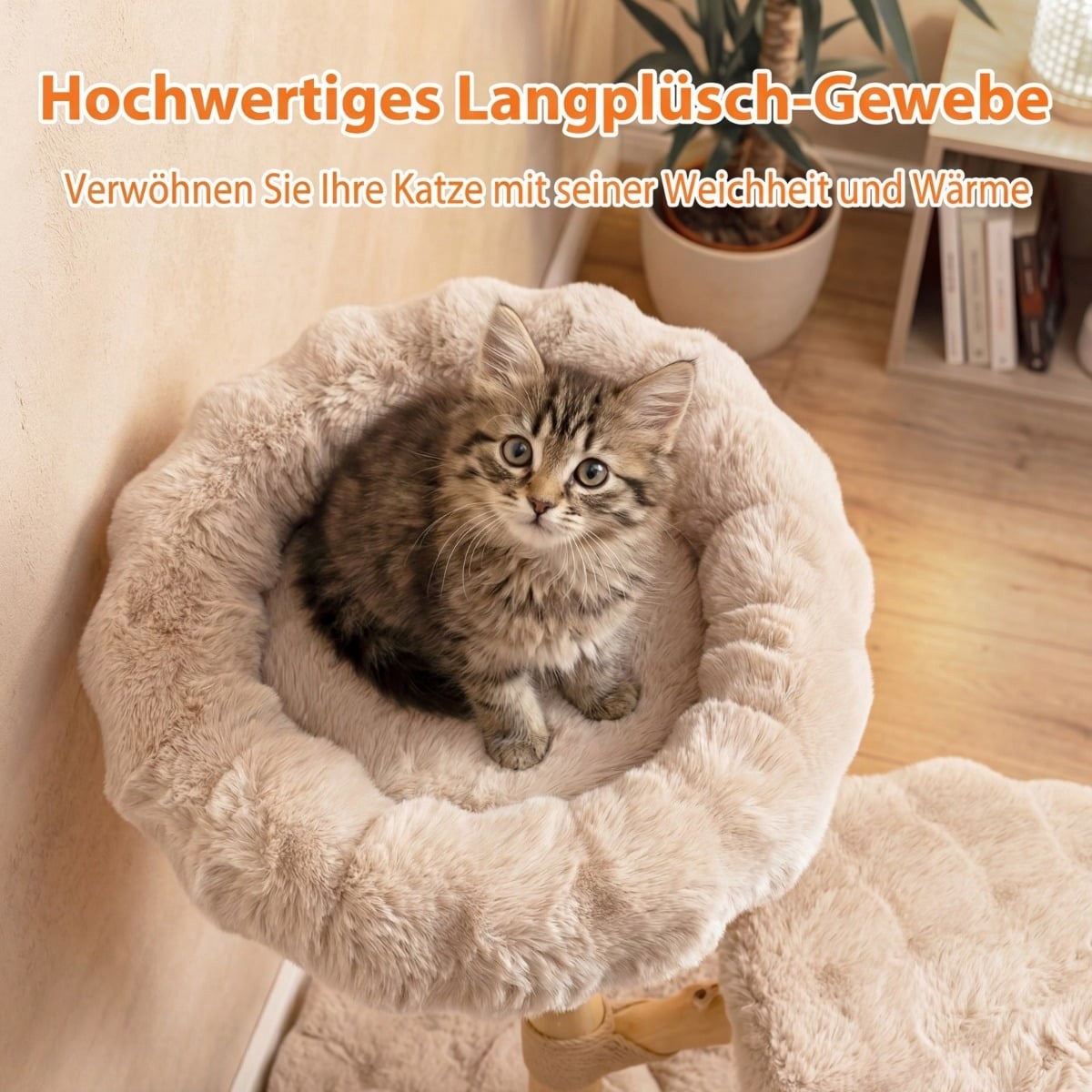 Un chaton moelleux est assis dans un lit pour chat en peluche. Une plante et une étagère sont à l'arrière-plan.
