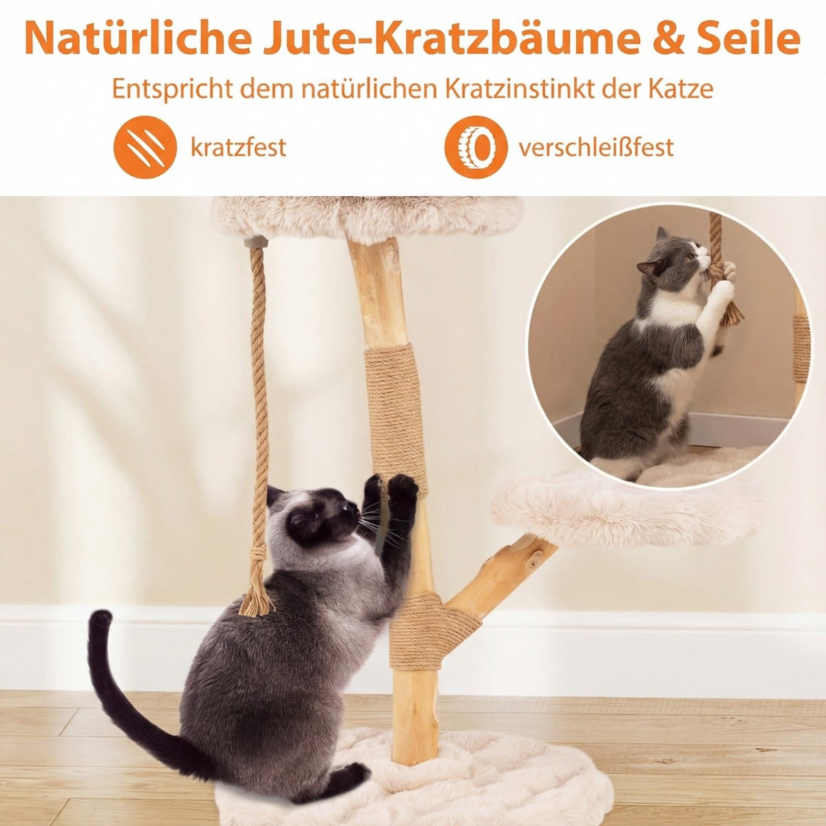 Deux chats jouent sur un arbre à griffer en jute et corde avec plateformes.
