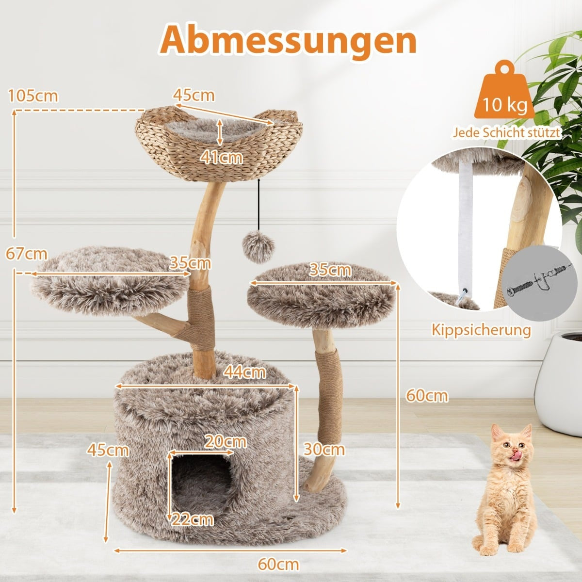 Meerlaagse krabpaal met afmetingen, hangmat, hol, speeltje en een kitten.