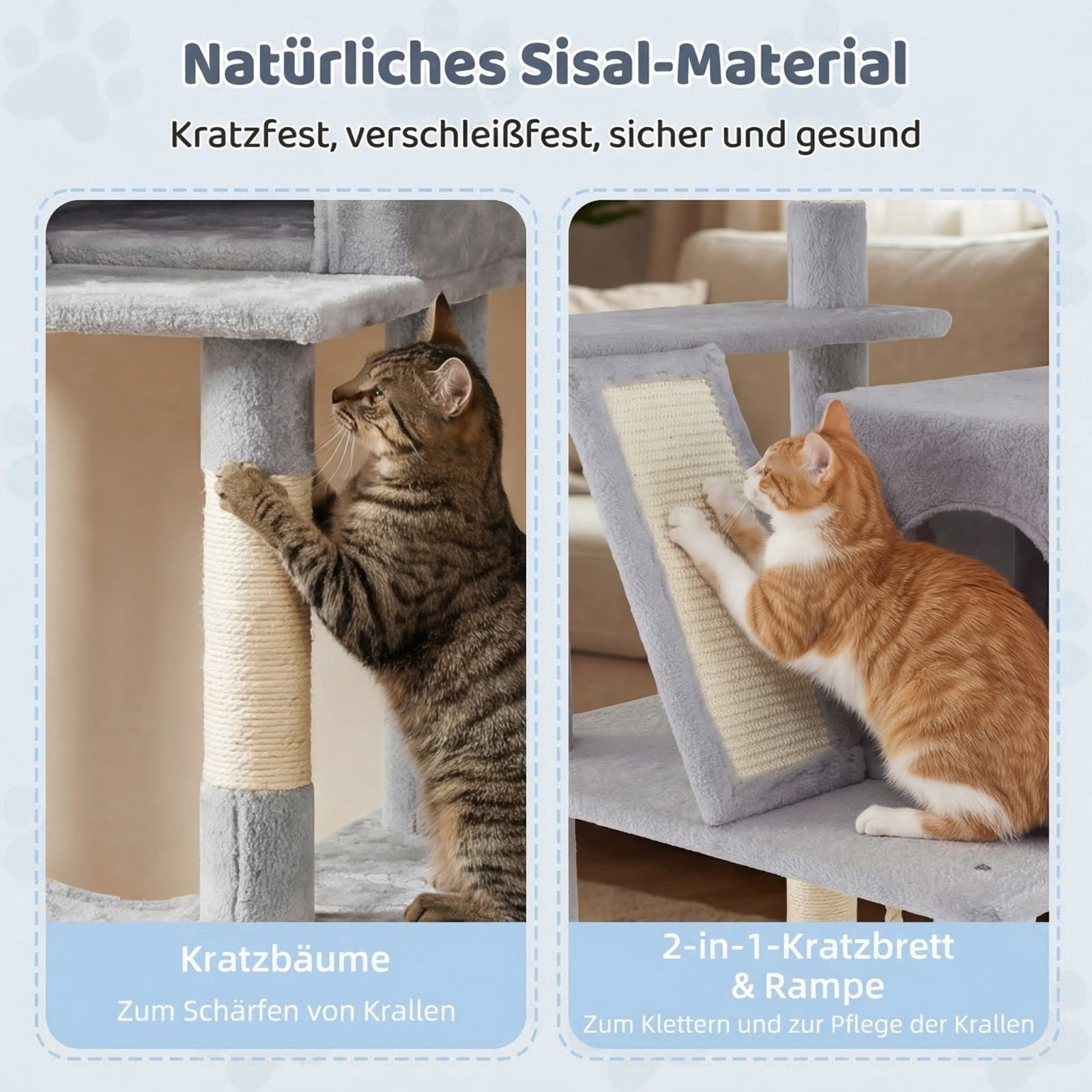 Twee katten spelen op een krabpaal. Links krabt een cyperse kat, rechts een oranje kat.