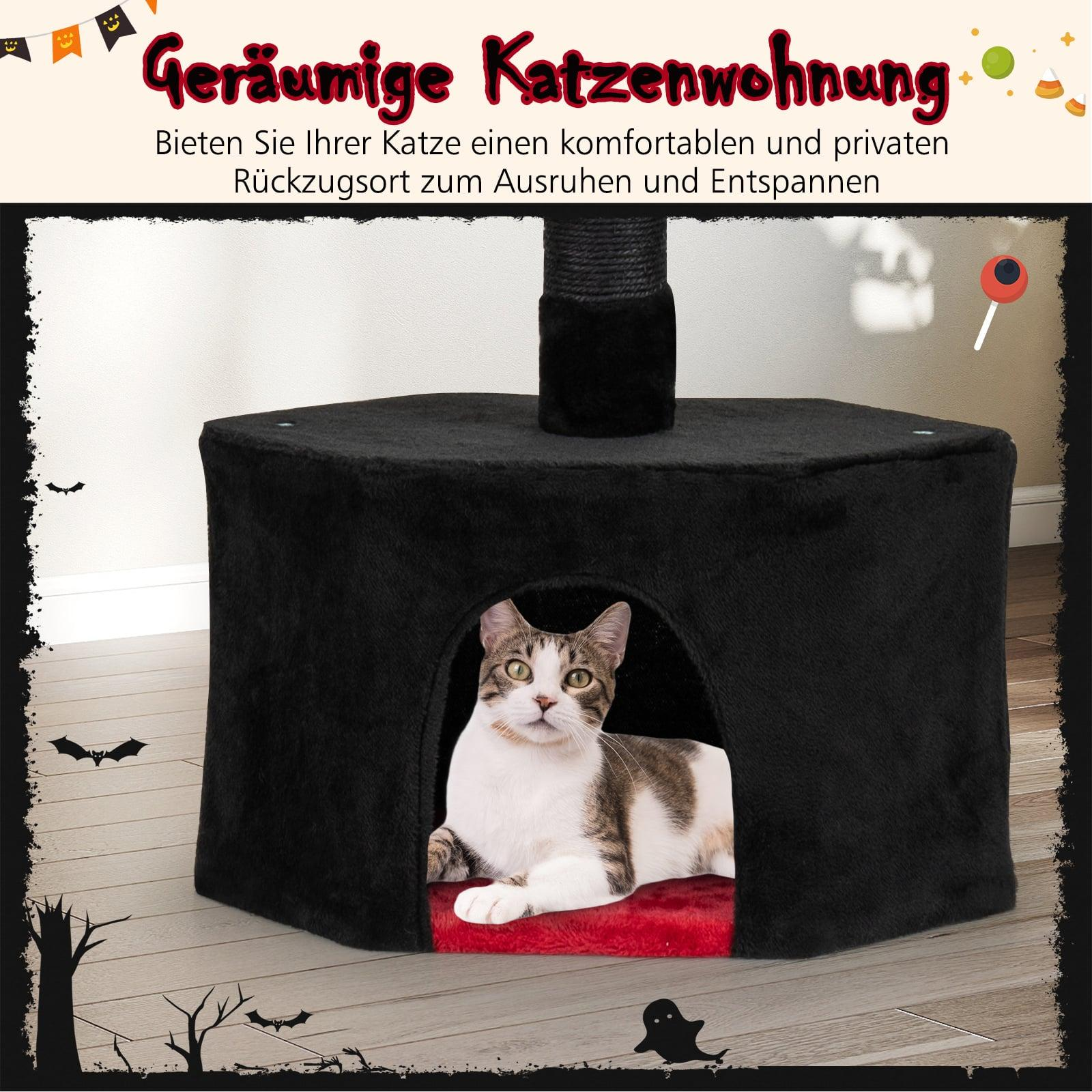 Un chat est assis dans une niche noire et rembourrée avec un coussin rouge.