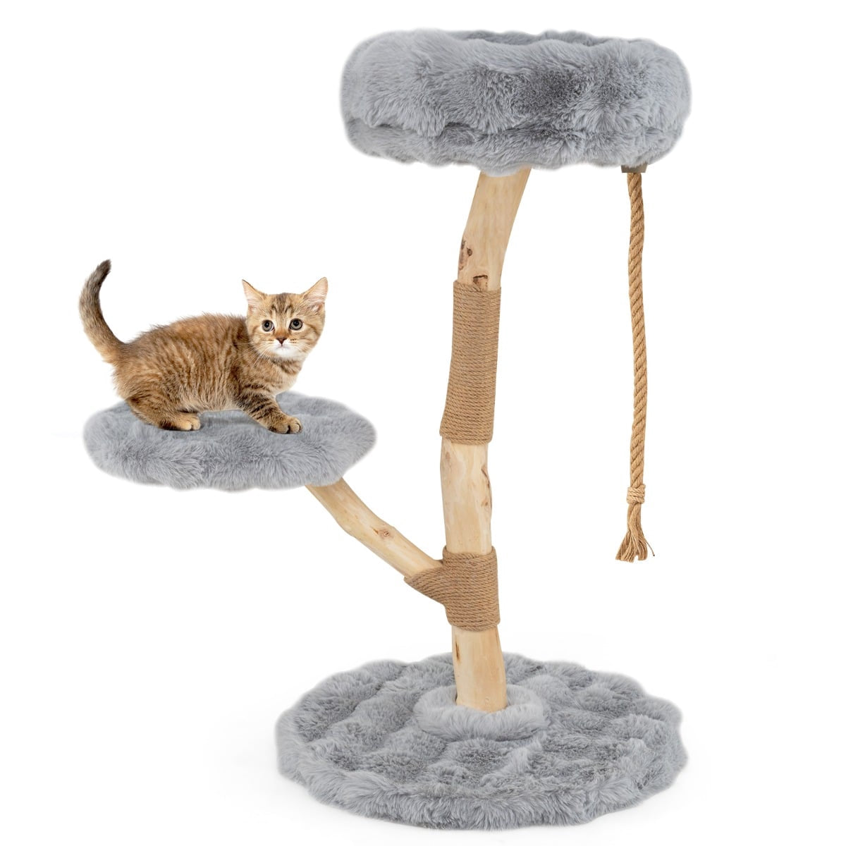 Un chaton tigré assis sur un arbre à chat avec des plateformes en peluche grise.
