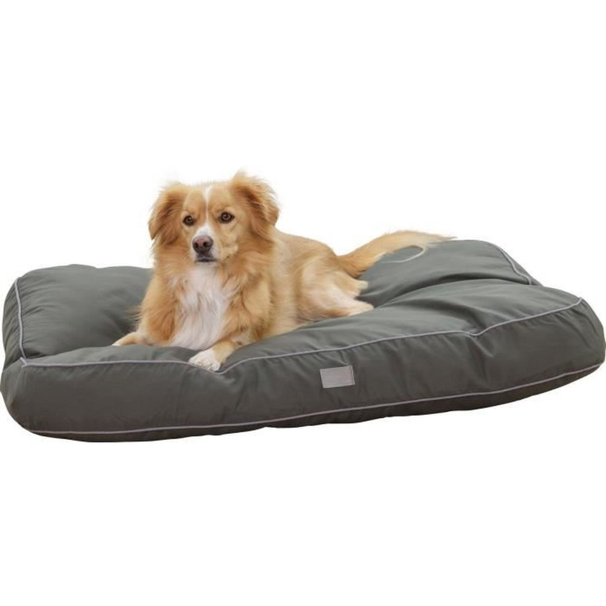 A golden-brown dog rests on a gray dog bed with white piping.