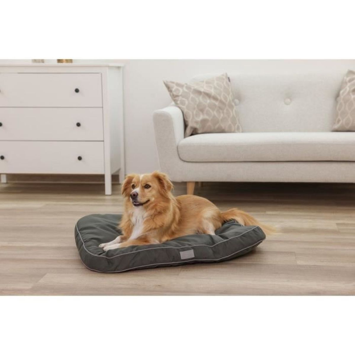 A brown dog rests on a gray dog bed in front of a sofa.