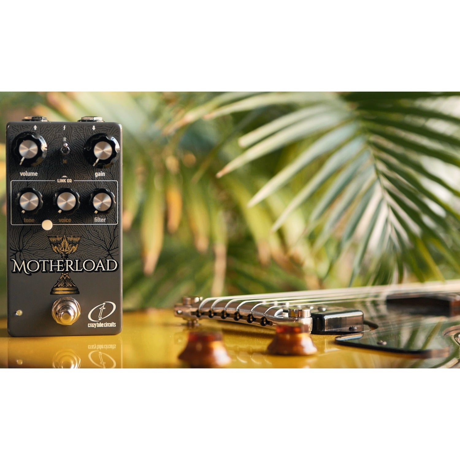 A gray effect pedal with black knobs sits beside a gold electric guitar outdoors.