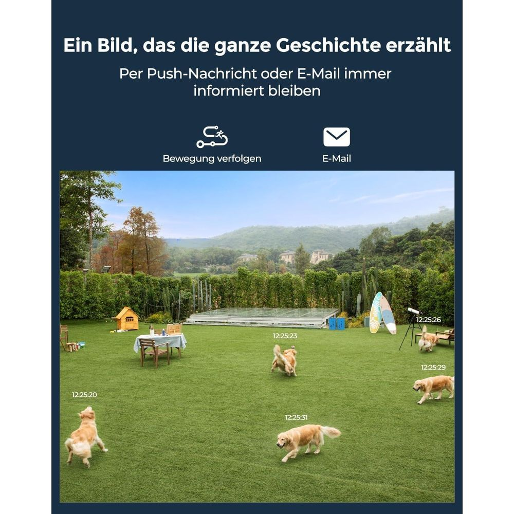 Cztery psy biegają po zielonym trawniku przed domem z basenem i drzewami.