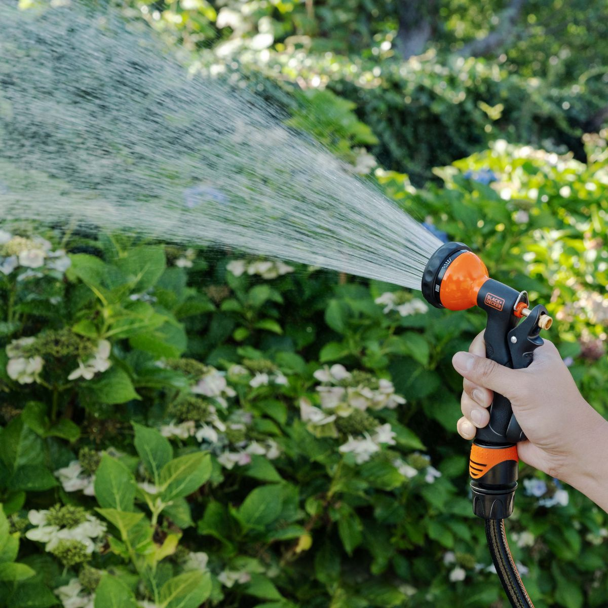 Een hand houdt een tuinslangmondstuk vast, sproeit water op groene planten met witte bloemen.