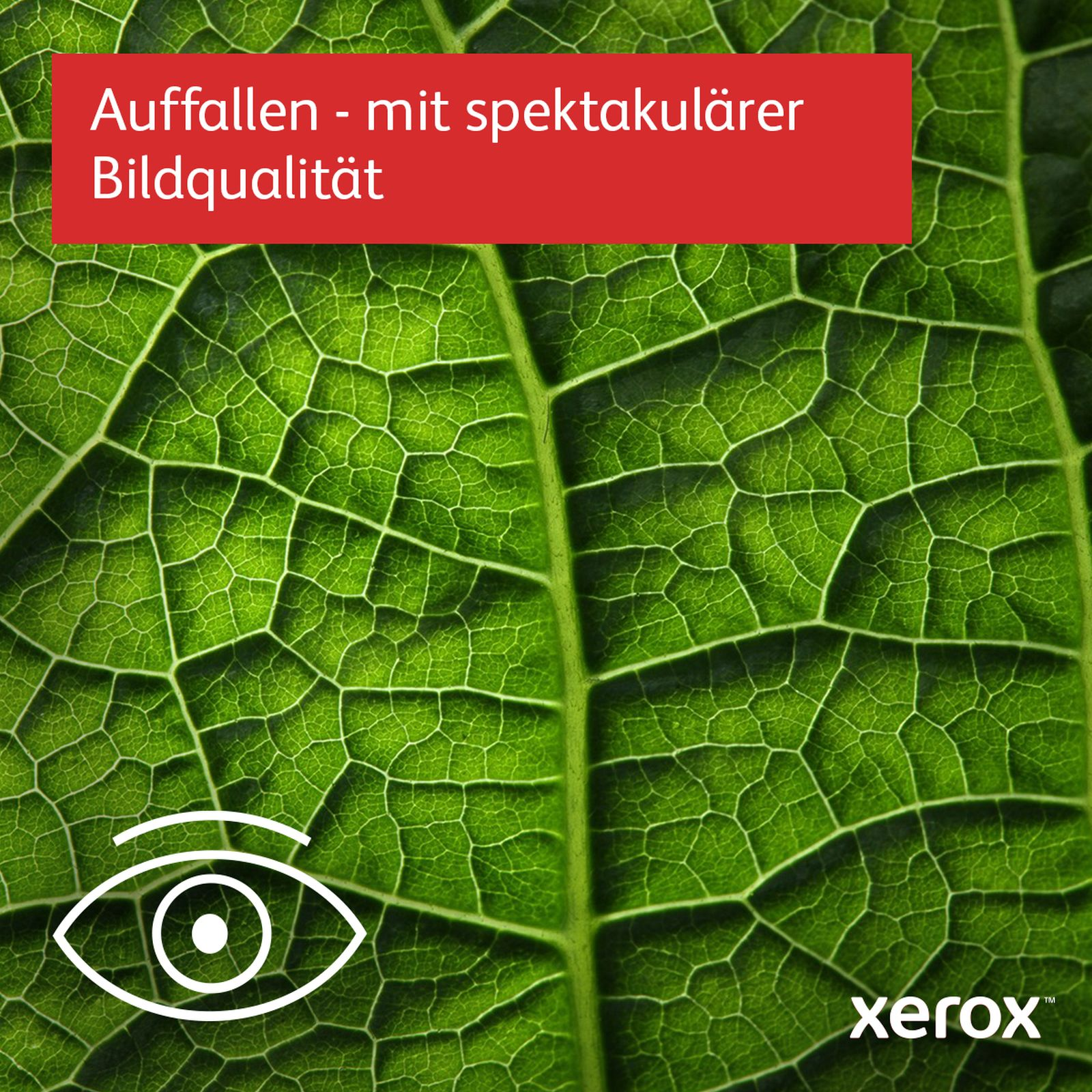 Zielony liść z żyłkami, czerwonym tekstem i logo Xerox.