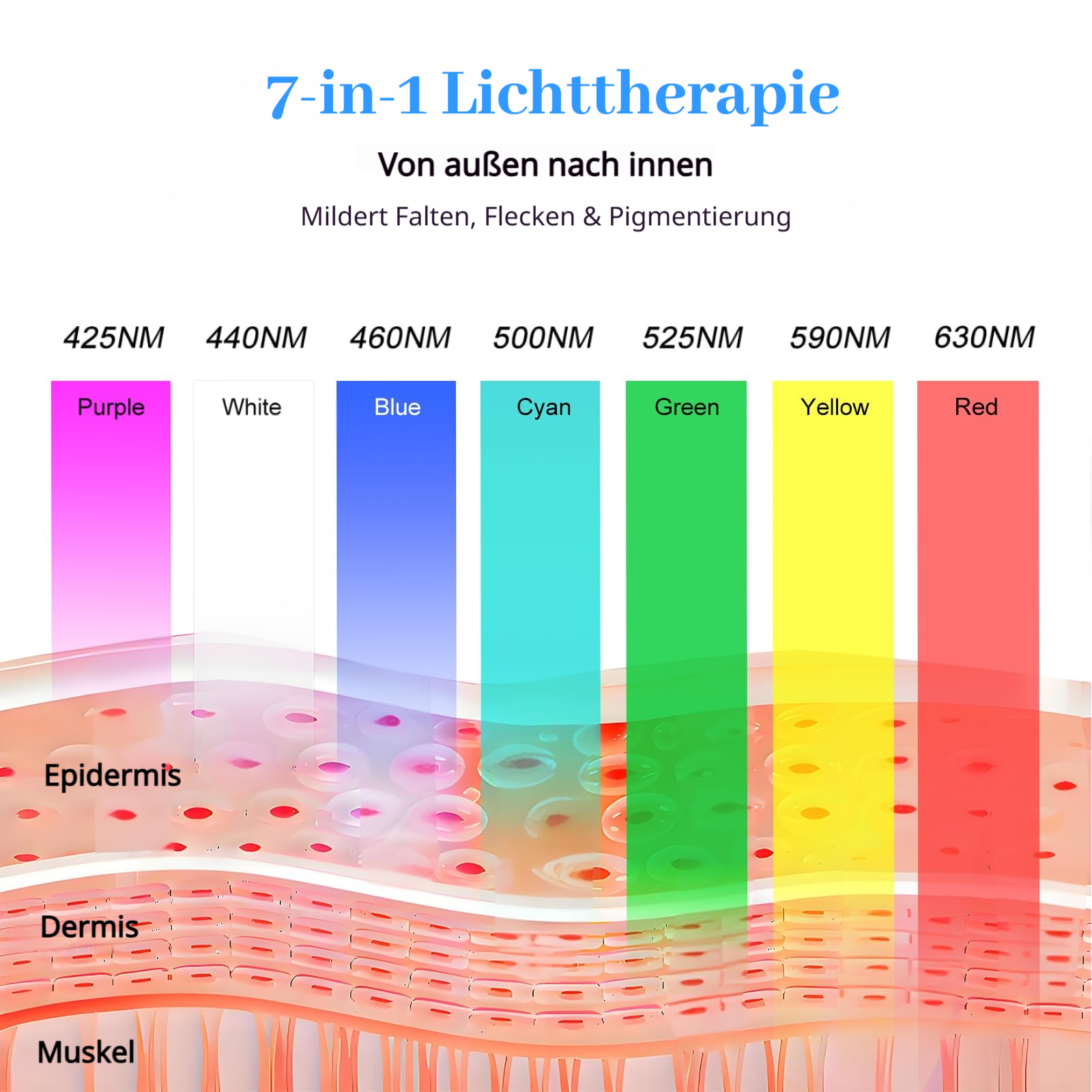 Hautschichten mit Lichttherapie-Wellenlängen: Lila, Weiß, Blau, Cyan, Grün, Gelb, Rot.