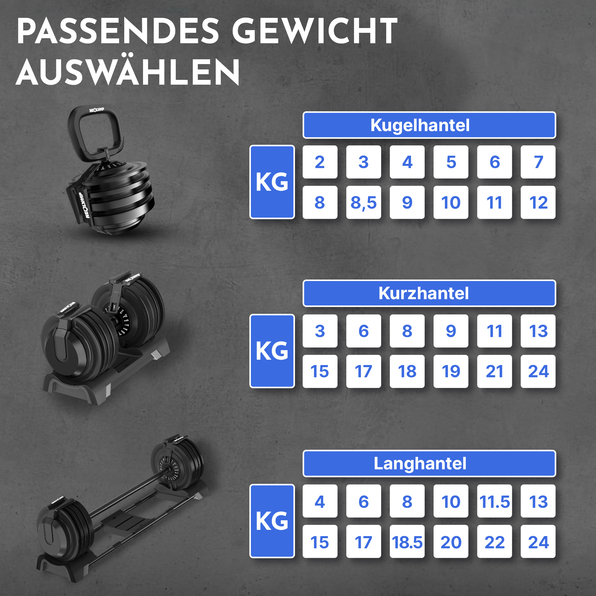 Auswahl von Gewichten: Kugelhantel, Kurzhantel, Langhantel mit KG-Angaben.