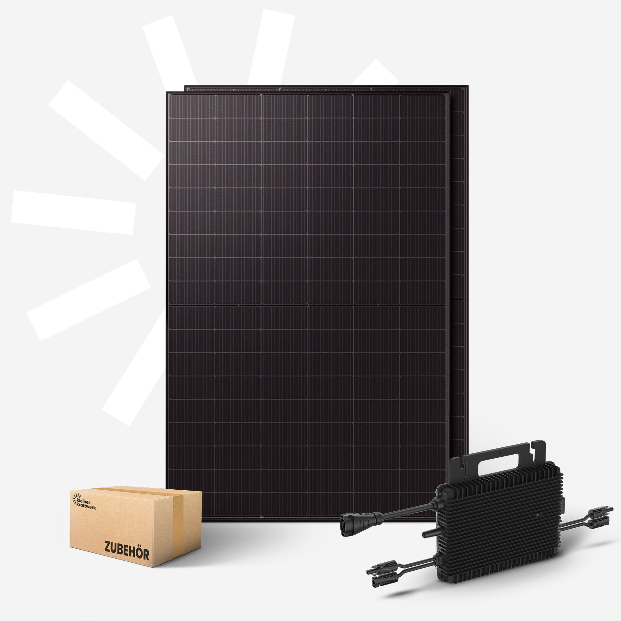 Zwei dunkle Solarmodule, ein Zubehörkarton und ein schwarzer Wechselrichter.