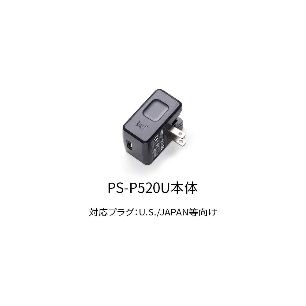 Schwarzer Netzadapter mit zwei flachen Stiften für US/Japan.