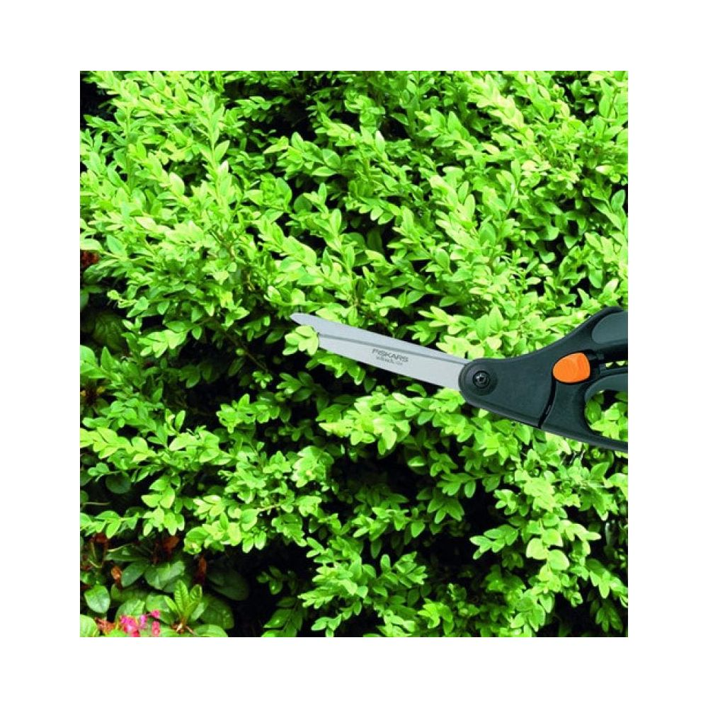 Eine schwarze Gartenschere schneidet einen grünen Busch. Nahaufnahme.