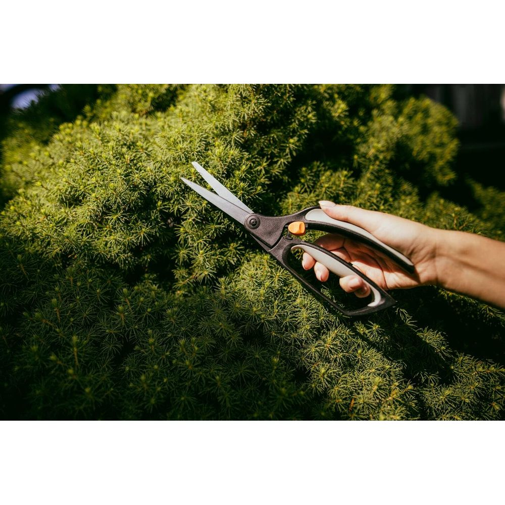 Eine Hand hält eine Gartenschere vor einem dichten, grünen Busch.