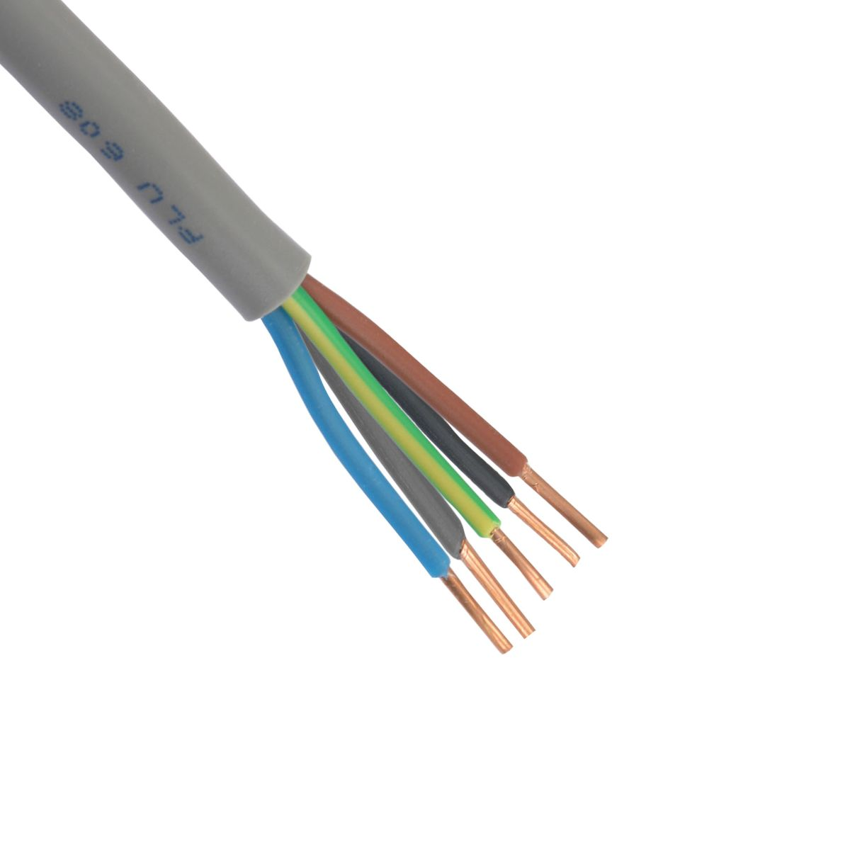 Câble gris avec cinq fils de cuivre exposés : bleu, gris, vert, noir, marron.