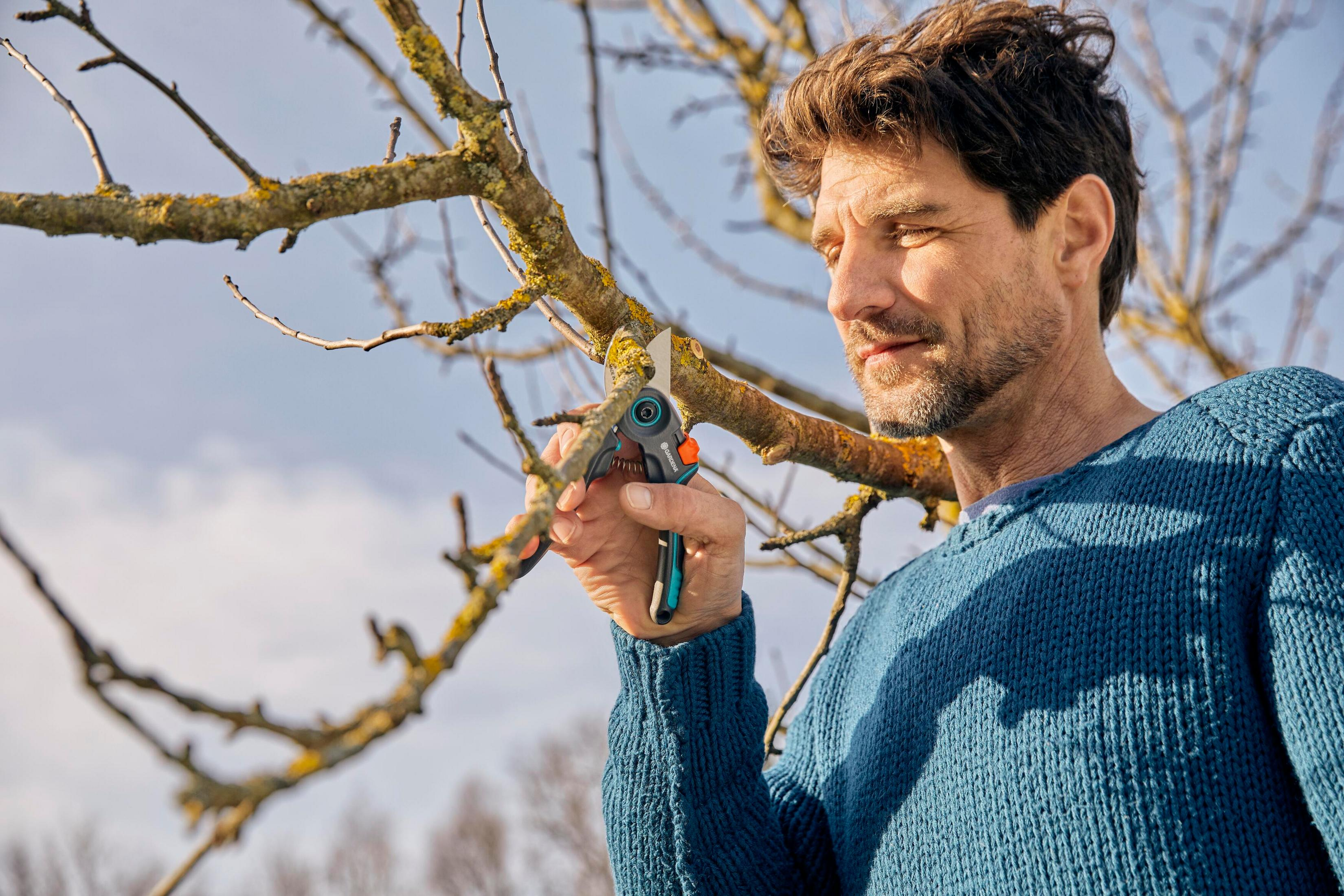 Mann mit Gartenschere schneidet Ast vor blauem Himmel